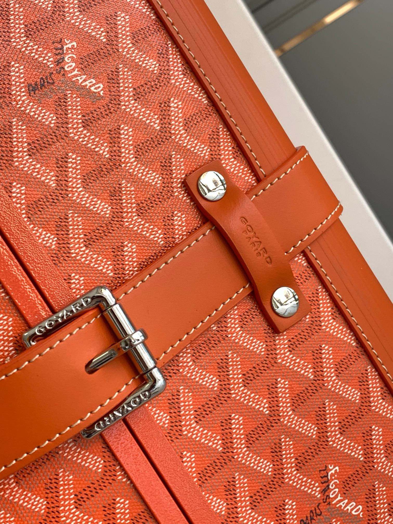 Goyard suitcase Multicolor Standard everyday