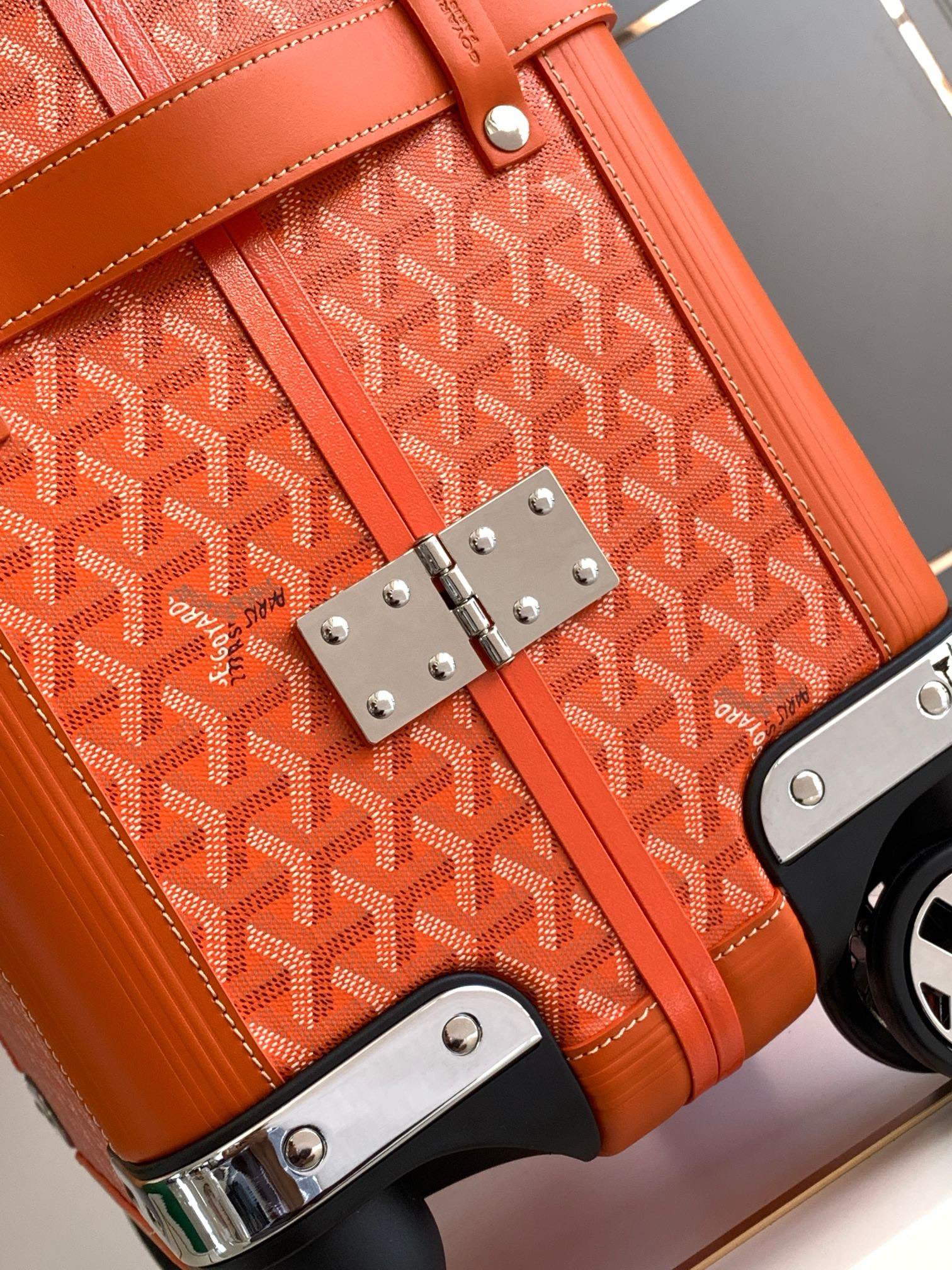 Goyard suitcase Multicolor Standard everyday