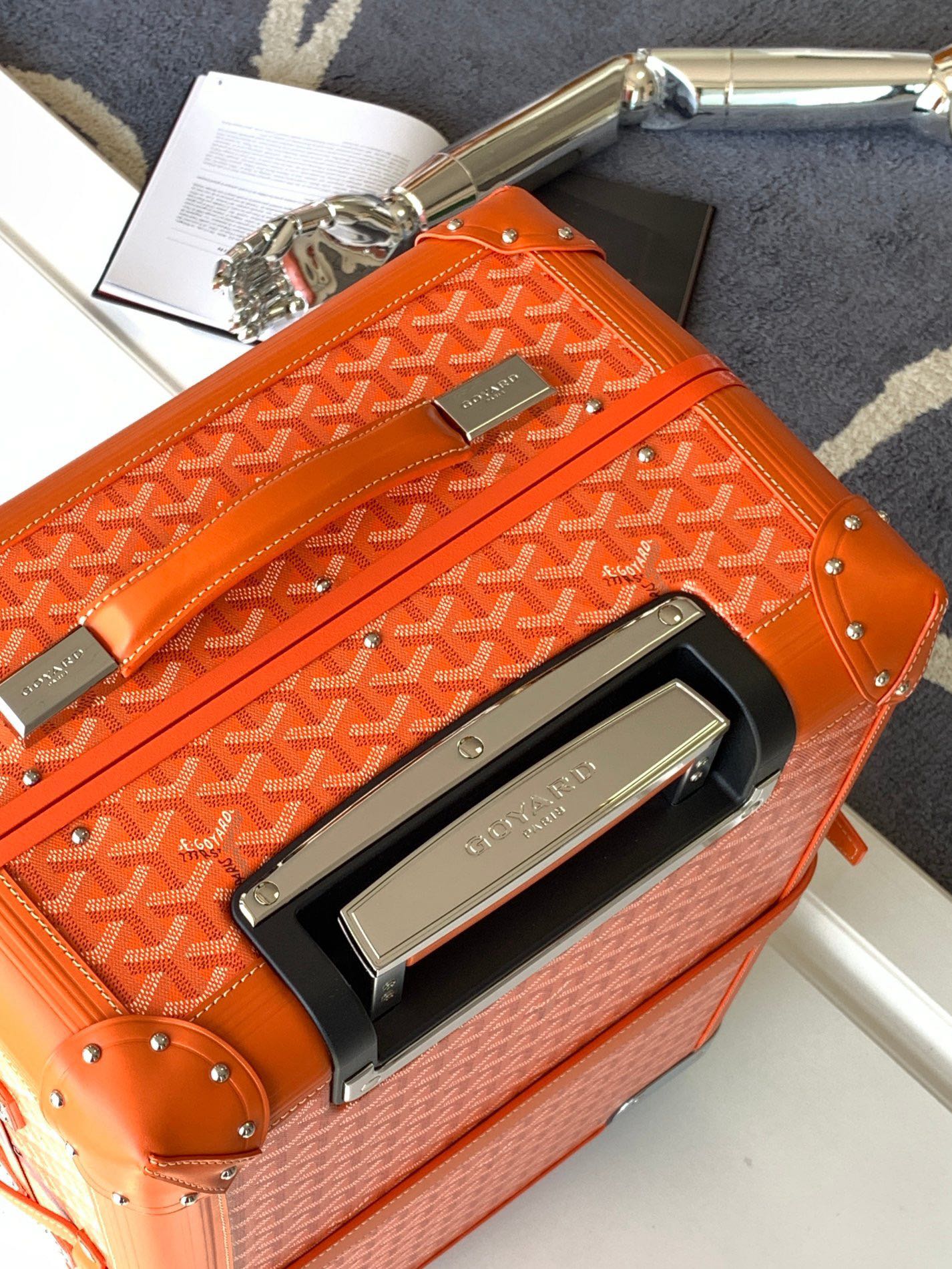 Goyard suitcase Multicolor Standard everyday