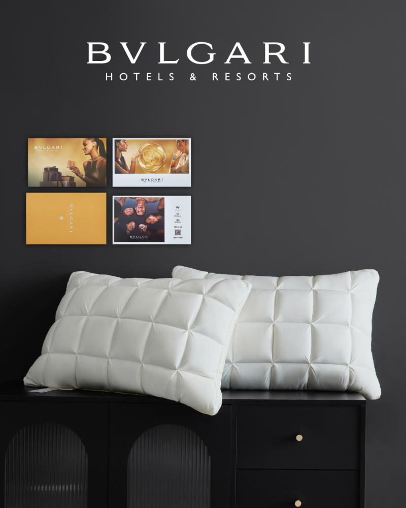 宝格丽 Bvlgari 高定典藏经典高奢皮具手袋托特包斜挎包女包 #CAABBC32 4