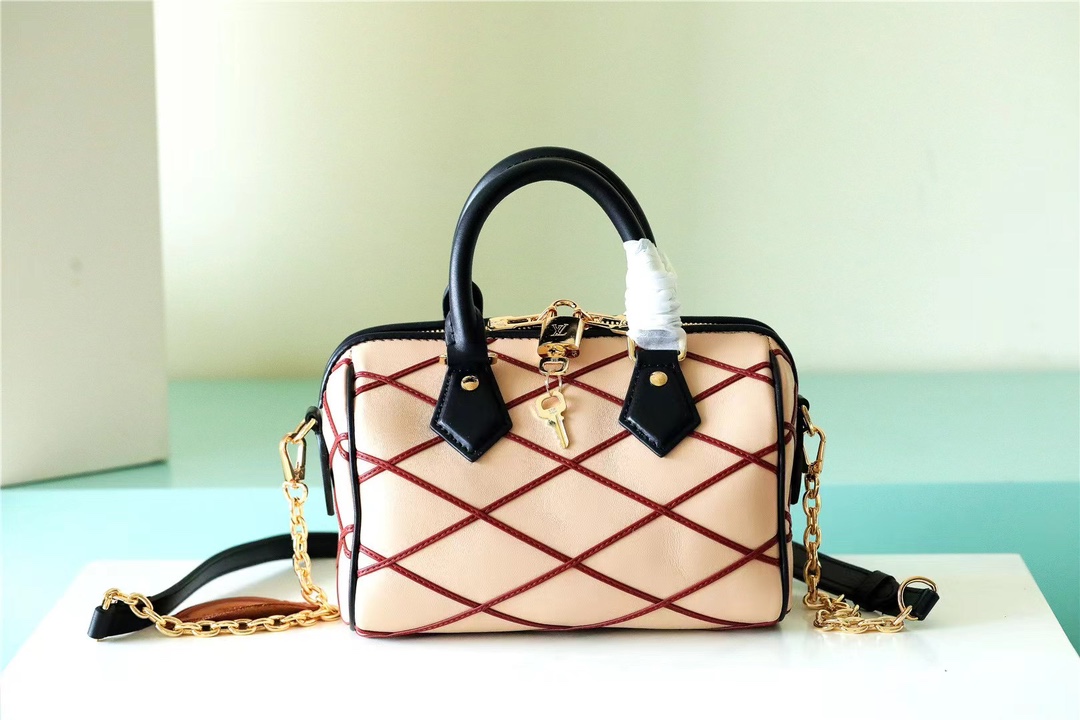 Louis Vuitton Apricot pillow bag