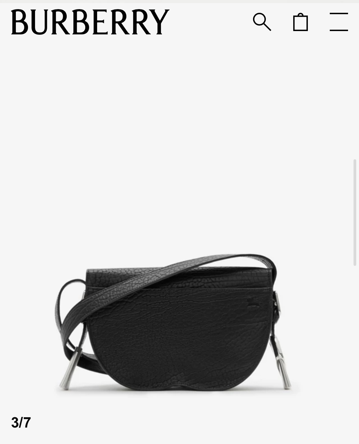 Burberry Official website picture
