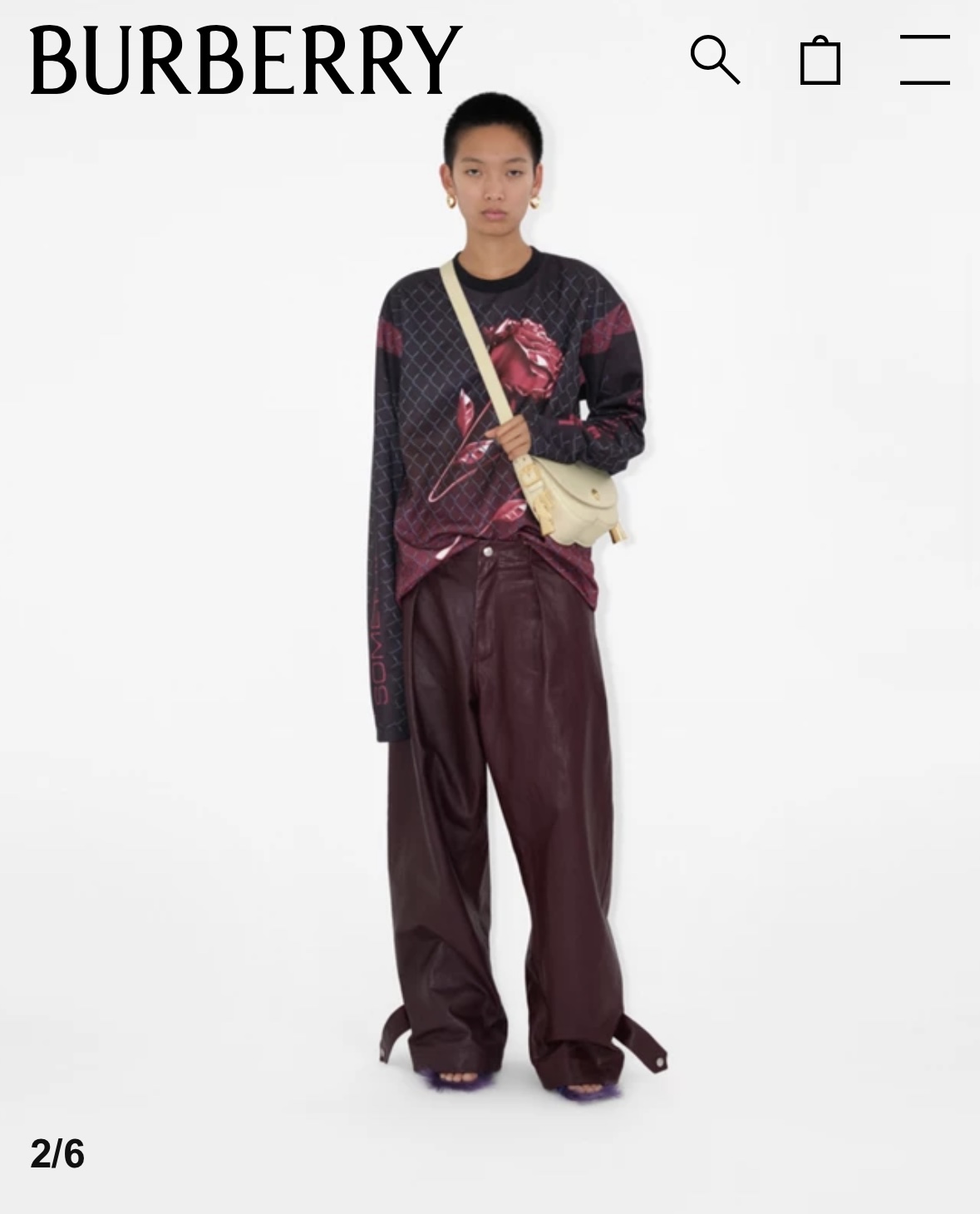 Burberry Official website picture