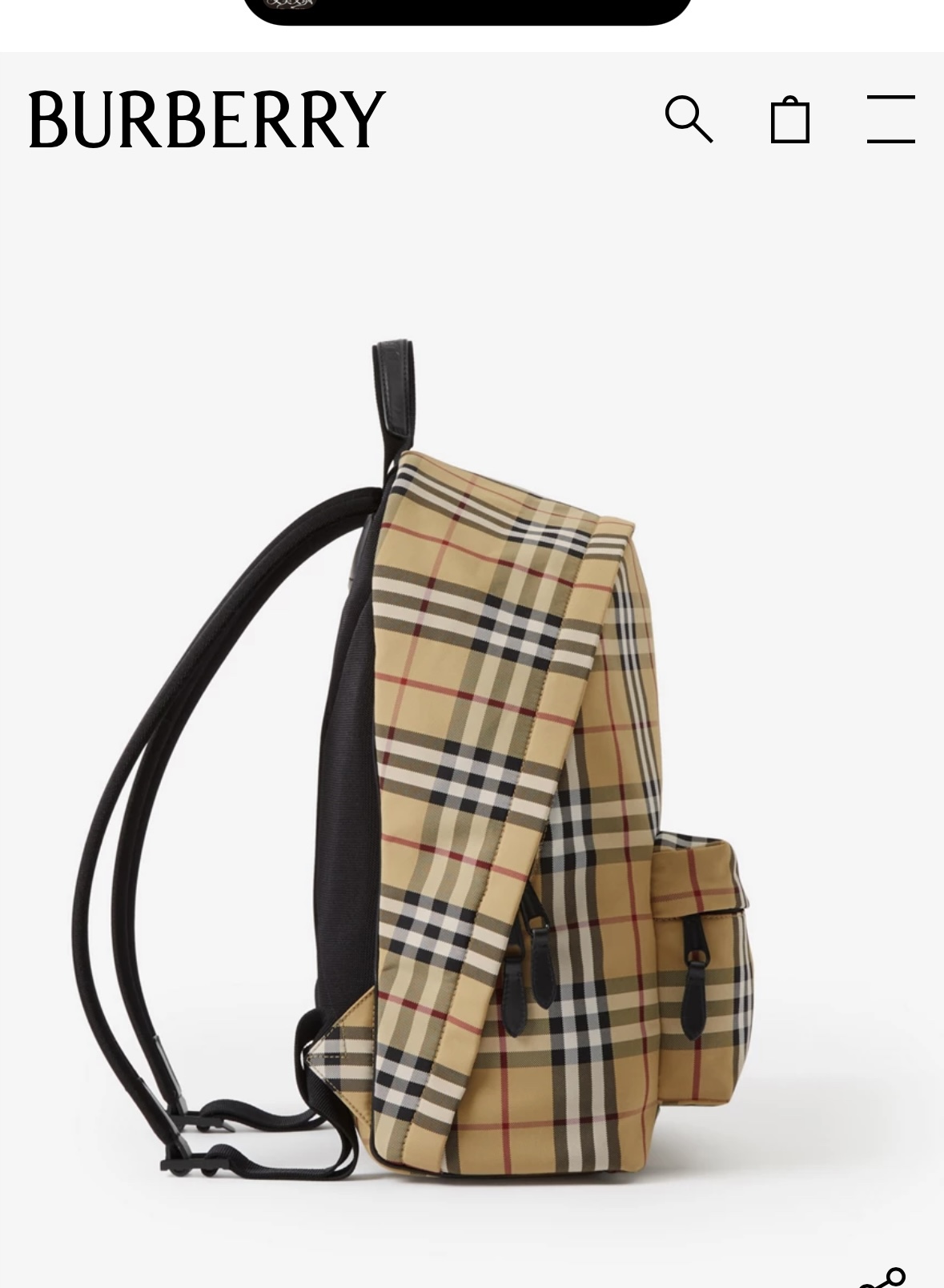 Burberry renderings