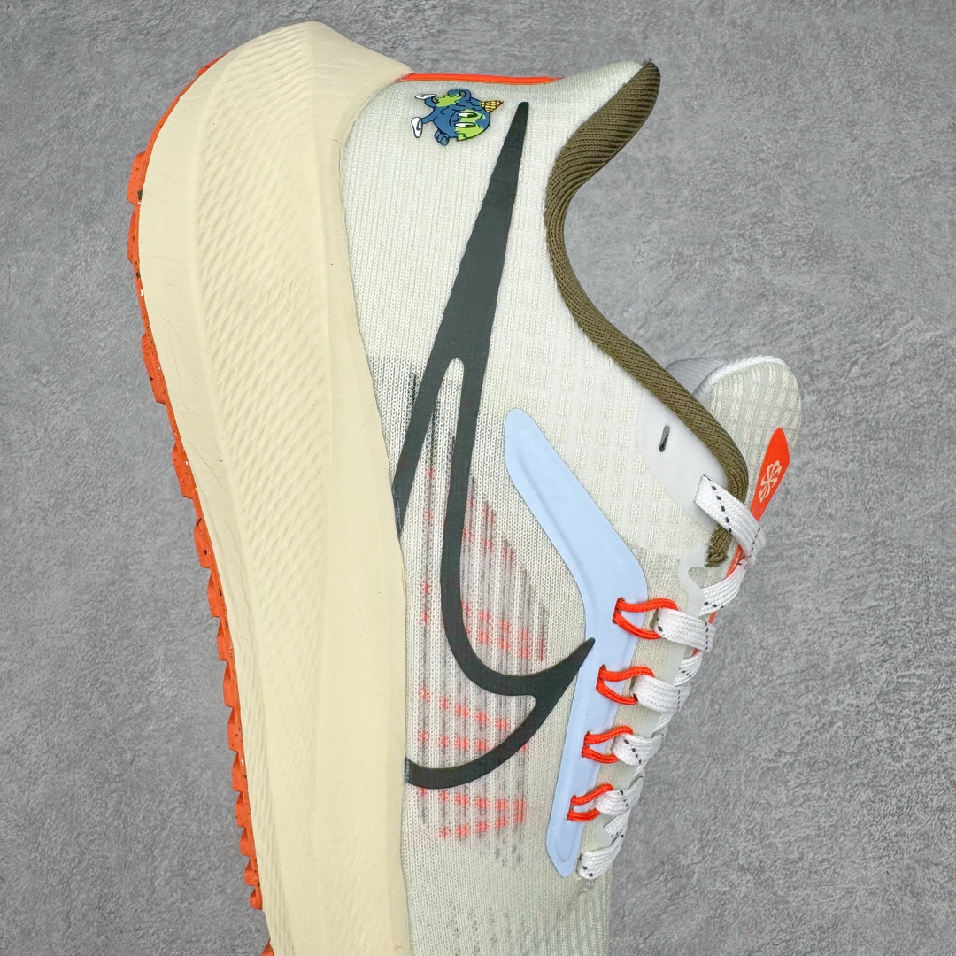 Nike Zoom Pegasus 39 Nike Zoom Pegasus 39