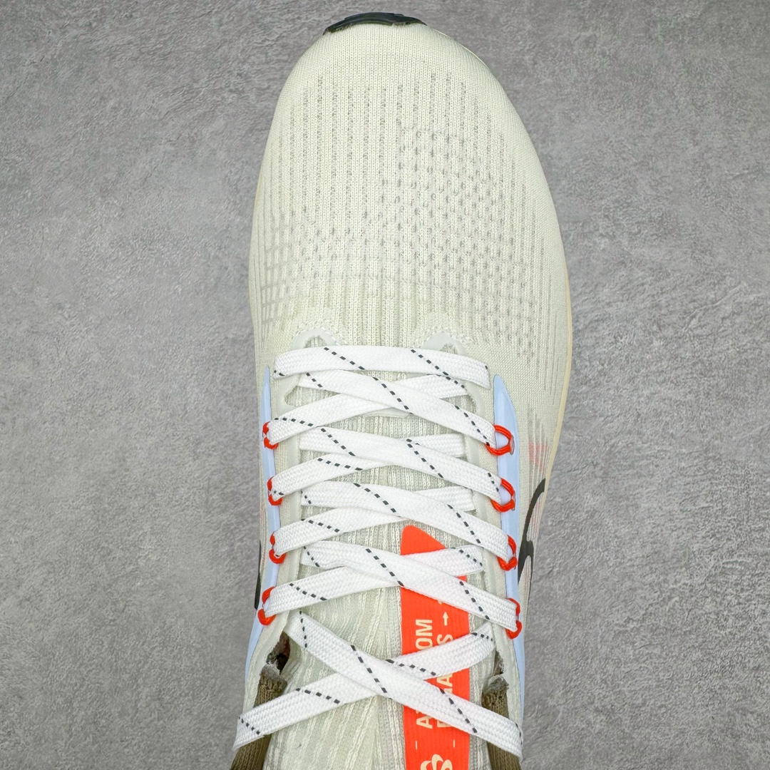 Nike Zoom Pegasus 39 Nike Zoom Pegasus 39
