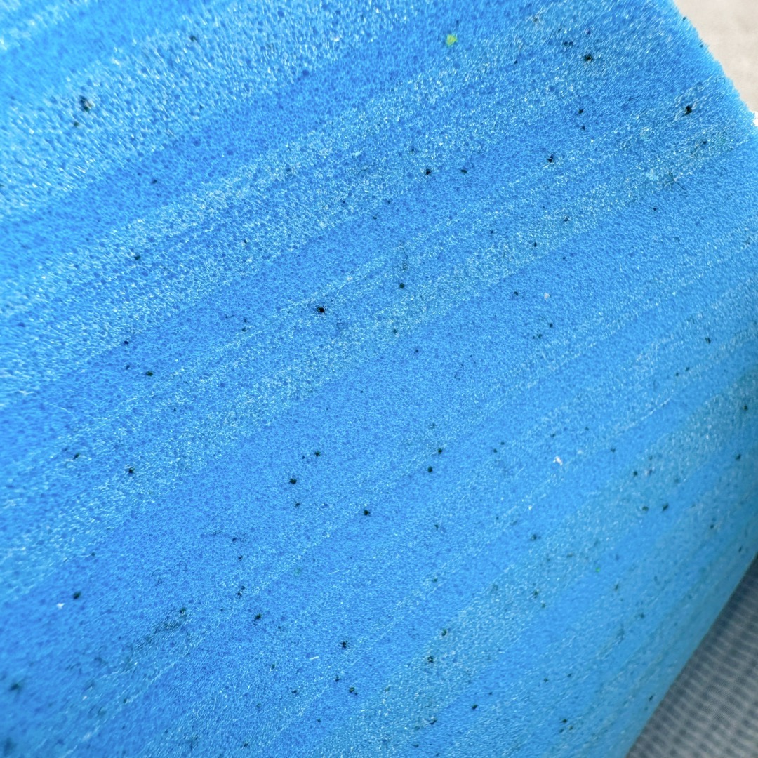 图片[10]-＃纯原 AD Originals Country x Kamanda卡曼达混合系列章鱼卷底复古锯齿休闲运动训练慢跑鞋 货号：G27825 今年推出的全新鞋型 Kamanda，由于其夸张独特的外底，被玩家们称为“鱿鱼卷”，关注度一直颇高。将经典跑鞋 Country 的鞋面移植到 Kamanda 外底上 鞋面使用轻薄的尼龙布搭配皮革打造，以白色搭配绿色点缀，无论用料质感还是配色都极具复古气息。外底为 Kamanda 标志性的上翻设计，造型前卫，与复古风鞋面形成鲜明反差。尺码：36 36.5 37.5 38 38.5 39 40 40.5 41 42 42.5 43 44 44.5 45-选品中心