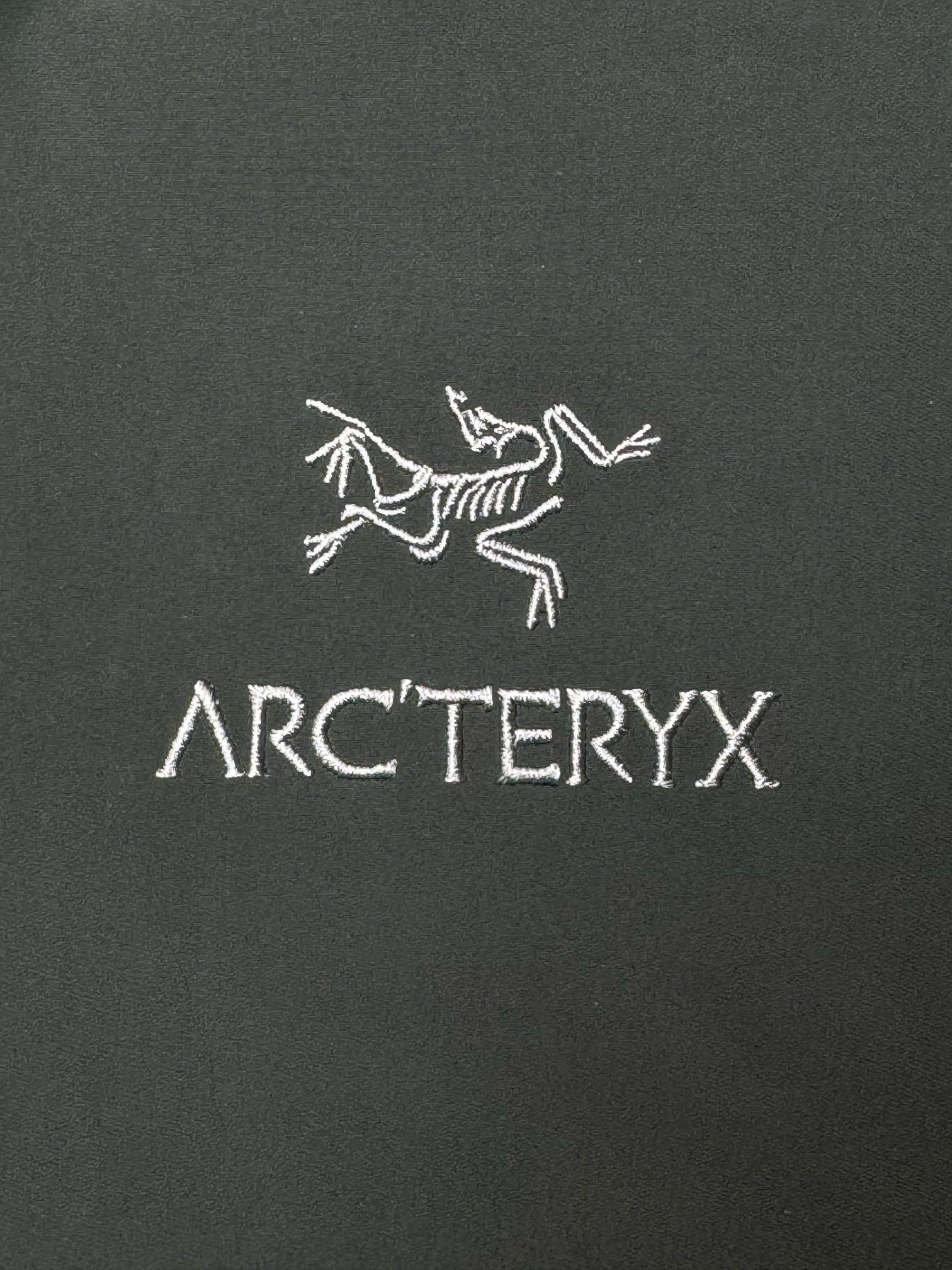 图片[2]-＃TZD Arcteryx Beta Lt 始祖鸟贝塔软壳连帽冲锋衣外套 台州顶级批次 现货供应 面料采用原厂防水N100d-X 3L ISO标准90（ISO4）级别的 GORE-TEX PRO 科技面料 透气性达到原厂标准5000+数值 面料特点 防污 防风 防尘 做到三防 耐寒 保温 男女同款 版型宽松百搭 户外运动防水 全套五金原厂定制Logo 无论是户外出行 还是日常通勤都是衣橱必备单品 尺码：S-XL-选品中心