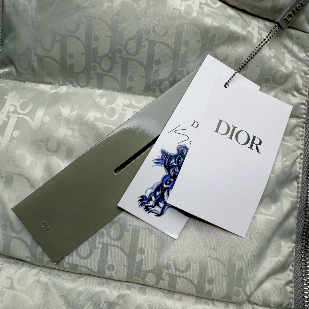 图片[10]-DIOR 23SS 迪奥新品满印暗纹老花立领羽绒服马甲 原24000购入 全衣面料采用原厂进口科技GORE-TEX提花面料 菱形印花图案设计间距及细节间距平行对位 并列的提花效果及手感非常还原 内里填充物采用国标级别90度 里料附层锦纶材质 蓬松度的白鹅绒混白鹅毛的材质 羽绒蓬感十足 保暖效果更佳 没有羽绒毛梗 利落的小立领搭配合肩线 肩前幅侧画增添了的双口袋设计 下摆设有抽绳可自由调节松紧、袖口带有松紧橡筋收口、门襟双开立领设计 镀银刻字五金配件搭配高品质欧牙双向拉链开合 拉头、鸡眼、内袋扣、暗扣、调节扣等依旧原版开模带Logo定制而成 尺码：46 48 50 52 54-选品中心