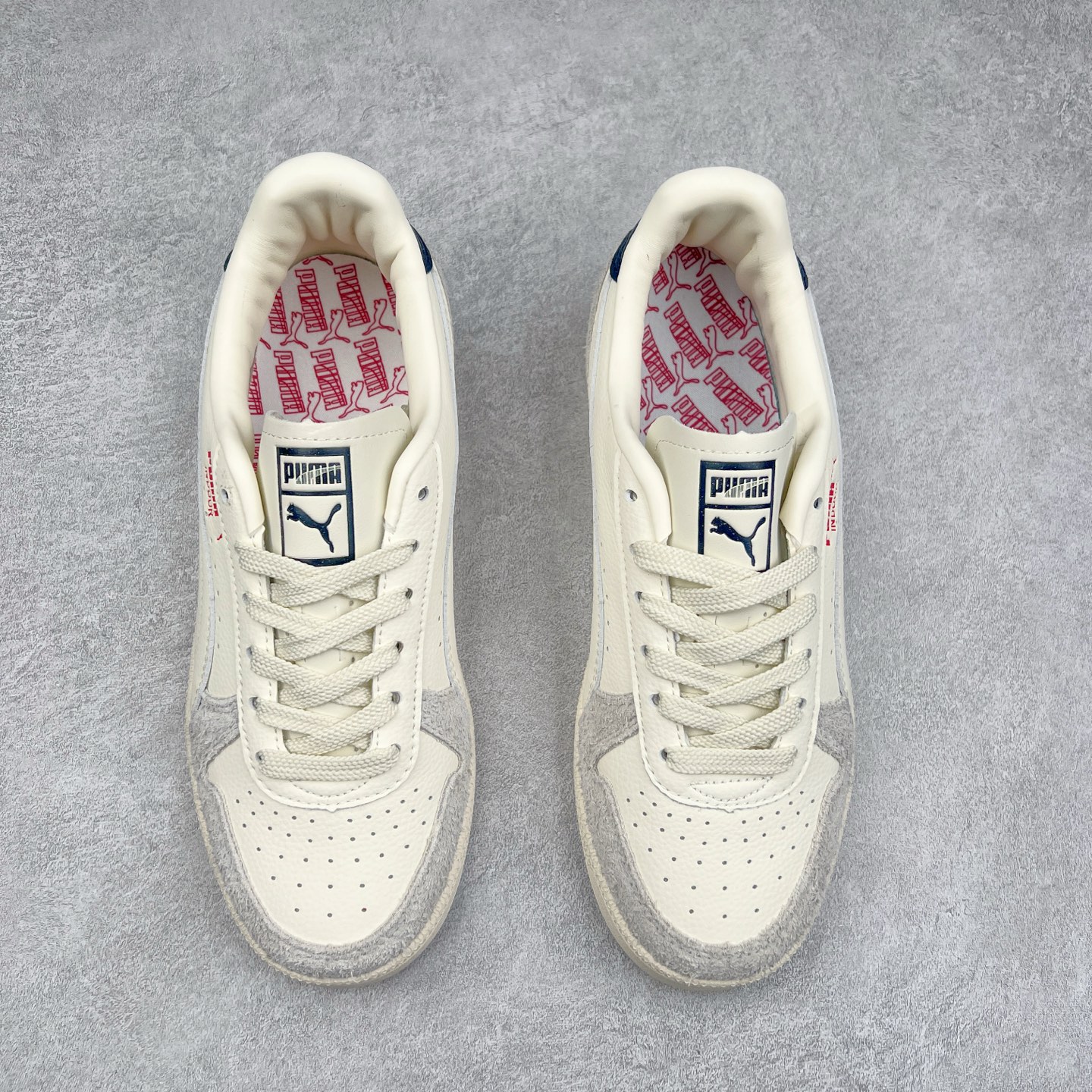 [Puma Series]