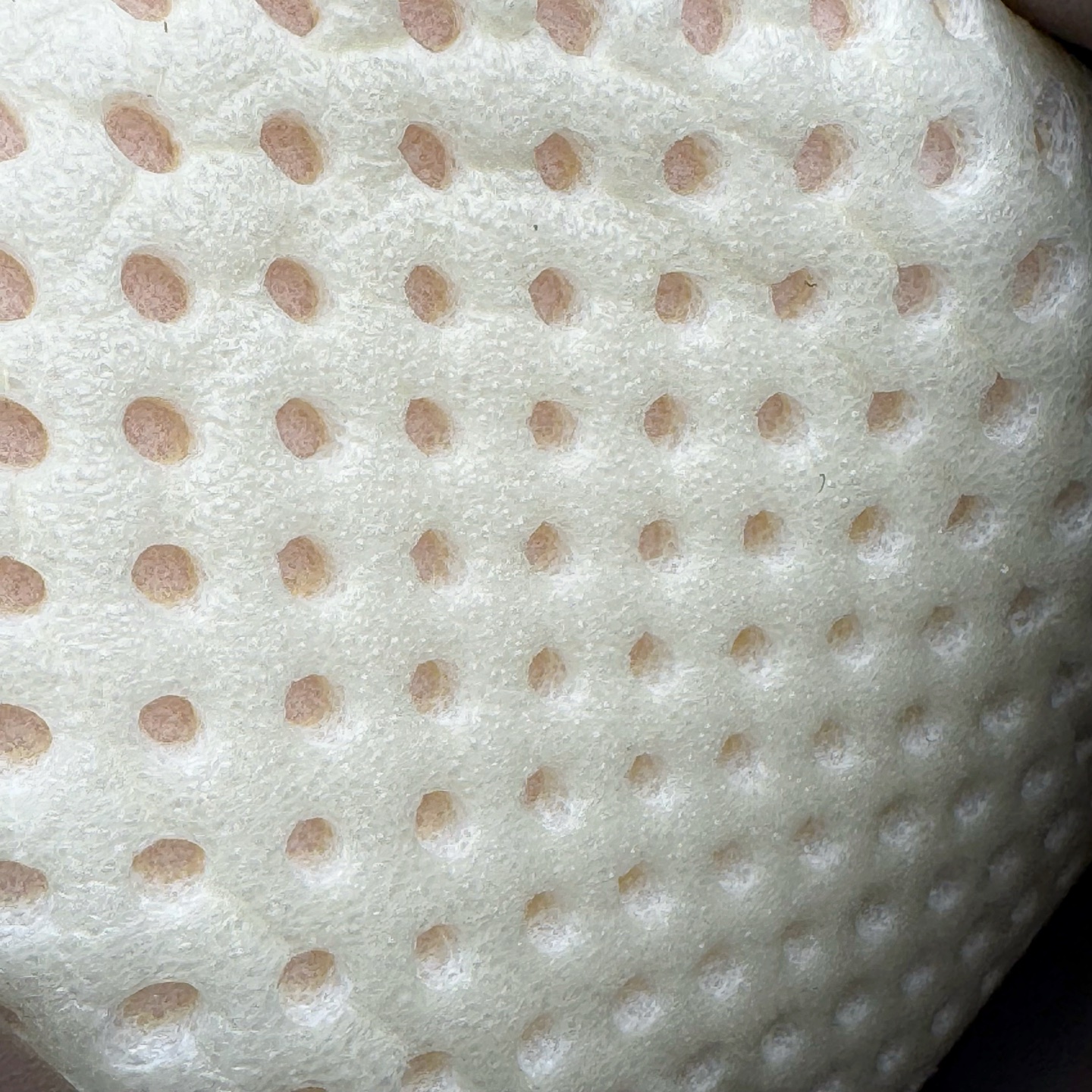 图片[10]-＃DG纯原 Rick Owens Drkshdw 瑞克·欧文斯低帮皮面时尚运动板鞋 棕色 二级市场已经7K以上 平台客户随意卖四位数 RO广东原厂出品 纯原天花板 原版一比一复刻 冲正绝不翻车 还原度达到百分之98以上 原楦开发纸版版型 ZP拆解原版1：1复模裁片纸版 力求做到0错位 这样才能达到和zp一致的鞋型味道 采用进口cnc数控机床开发对版独家tpu奶香大底 区别于市场所有版本 zp同源全头层粒面小牛皮 达到和zp一致手感 原厂进口细纹布 万邦订购原厂高弹粉红色海绵 内里搭配软质细腻羊皮 TPU高密度大底 软硬度透光度高已经测试和原版一致 尺码：36 37 38 39 40 41 42 43 44 45 46-选品中心