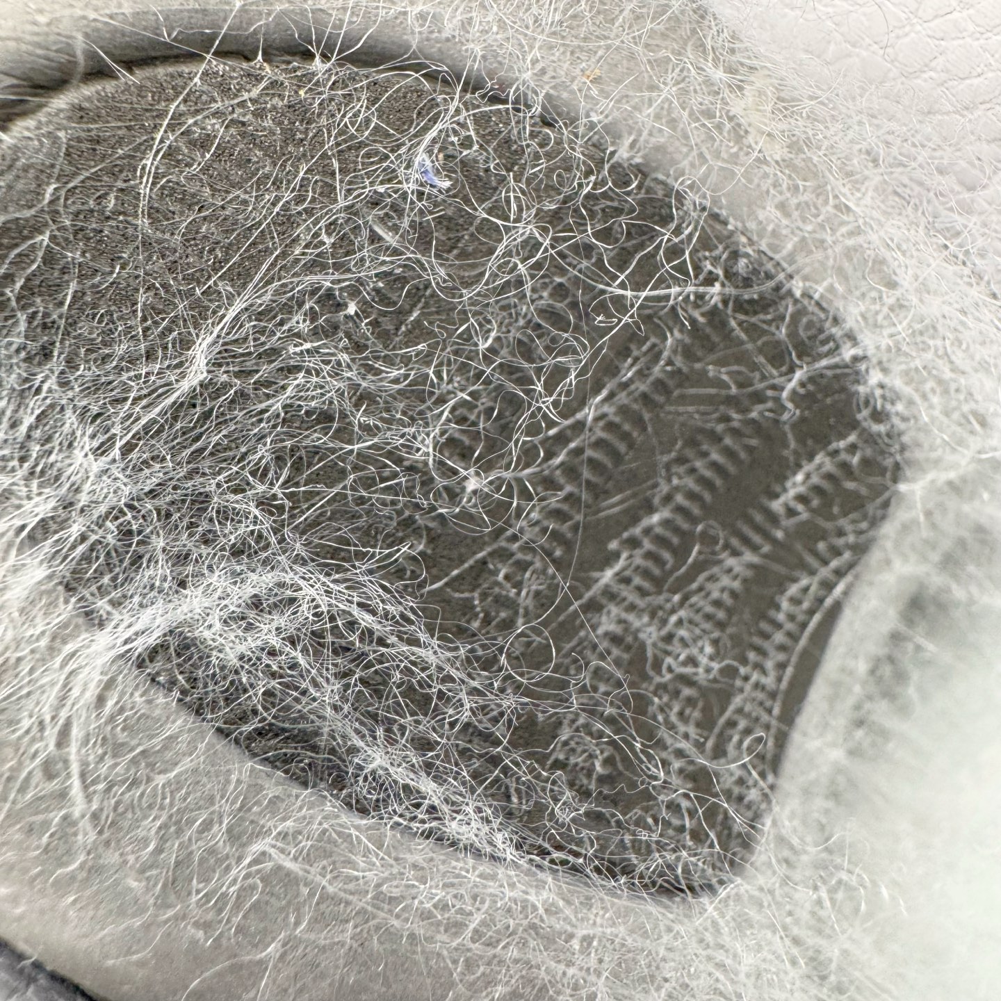 图片[10]-＃S2纯原 CPFM x NK Air Force 1 07 Low 空军一号系列低帮经典百搭休闲运动板鞋“联名放大补丁字母” FQ7069-100 近日，A$AP Bari 在其官方社交媒体上预告了 Cactus Plant Flea Market (CPFM) 和 Nike Air Force 1 Low 的全新配色。此次全新推出的紫色和苔藓绿配色，保留了原始黑白版本的标志性风格，均采用皮革鞋面、尼龙鞋舌、带有反光底衬的「AIR SUNSHINE」及同色 AF1 橡胶鞋底。尺码：39 40 40.5 41 42 42.5 43 44 44.5 45 46 47.5 48.5-选品中心