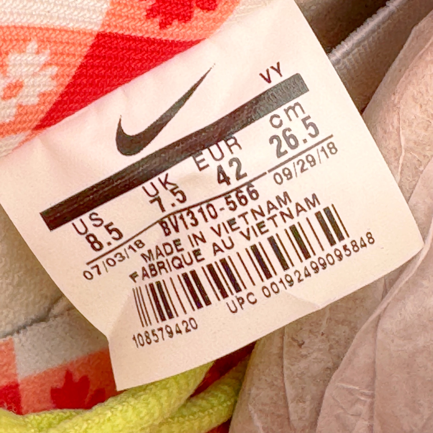 ＃纯原 Concepts x NK SB Dunk Low 