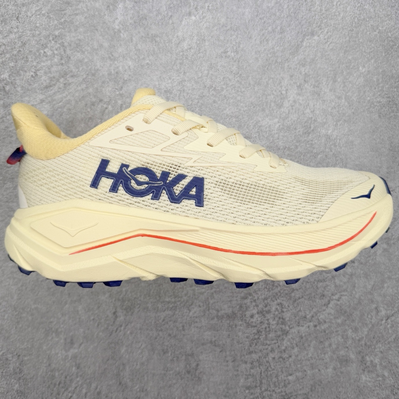 HOKA ONE ONE Challenger 8 GTX 舒适百搭 越野跑鞋 HOKA ONE ONE