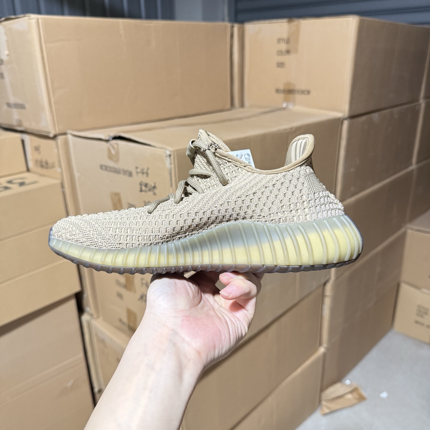 5.1劲爆 福利60💰 巴斯夫椰子350