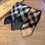 ¿Qué es una contaminación?
 Burberry Tie Men Silk Vintage