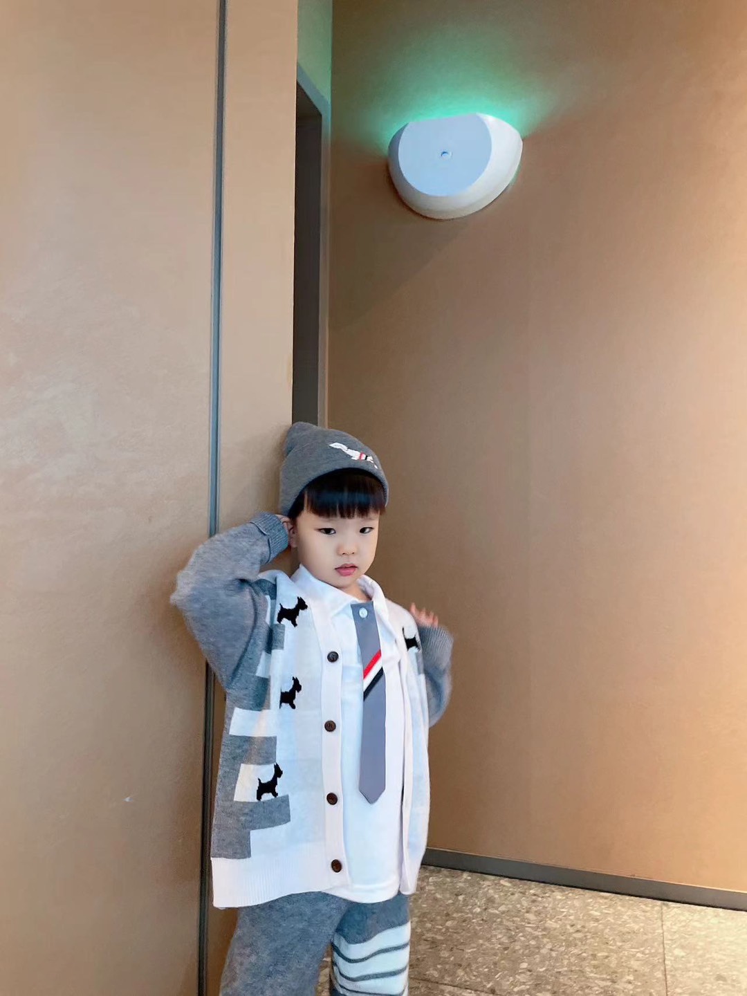 2024 Autumn/Winter Fashion: Exclusive TB Gray Dog Collection with High-Level Ash Designs - 图片 7