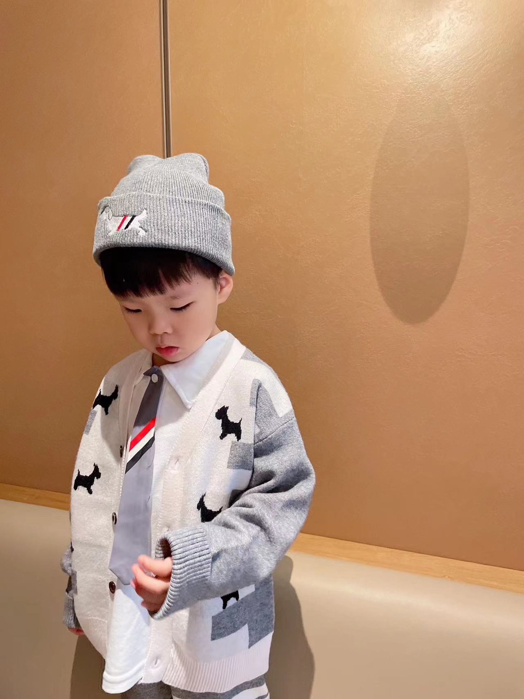 2024 Autumn/Winter Fashion: Exclusive TB Gray Dog Collection with High-Level Ash Designs - 图片 4
