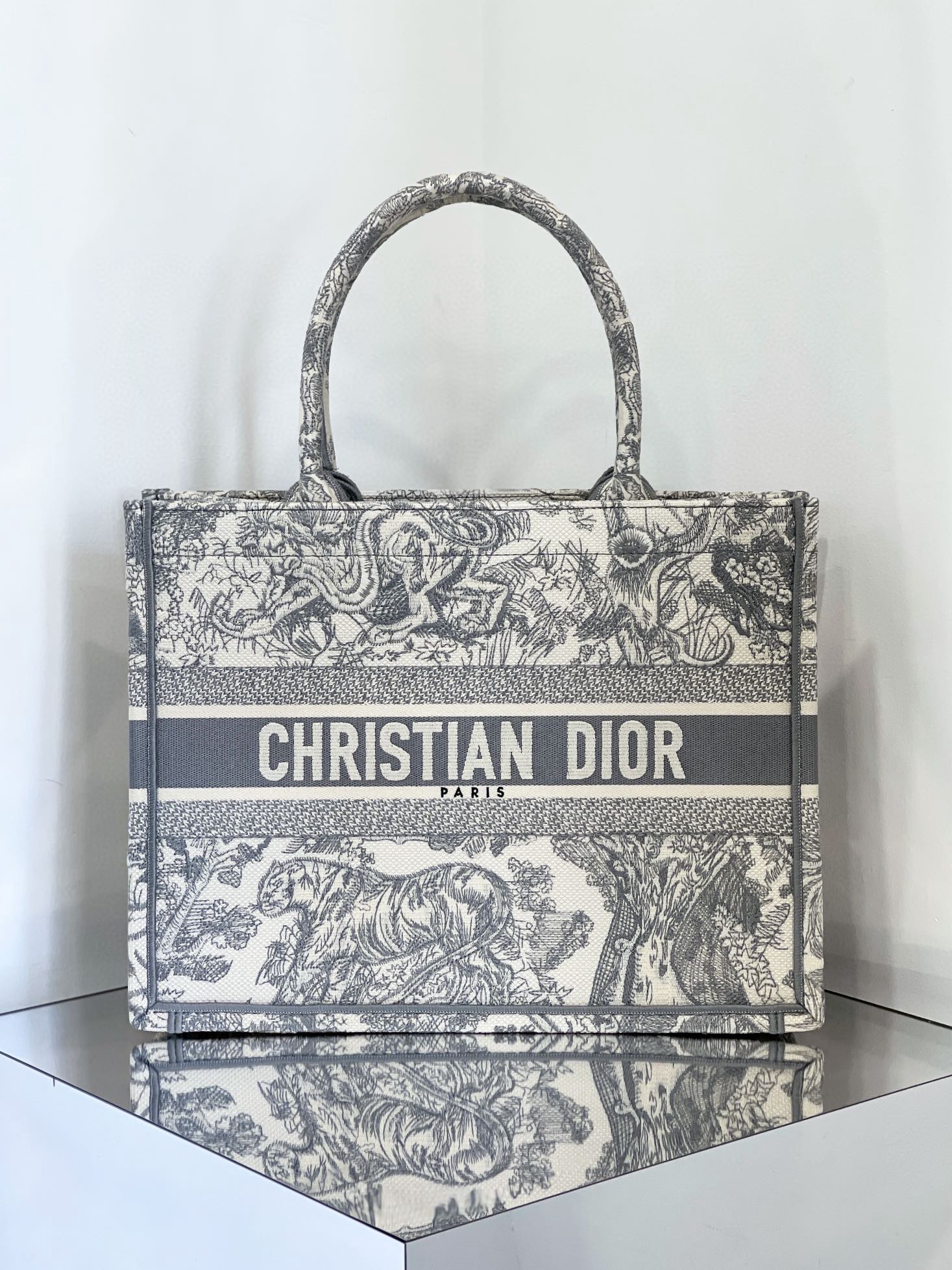 Dior Book Tote Bolsos de Tote