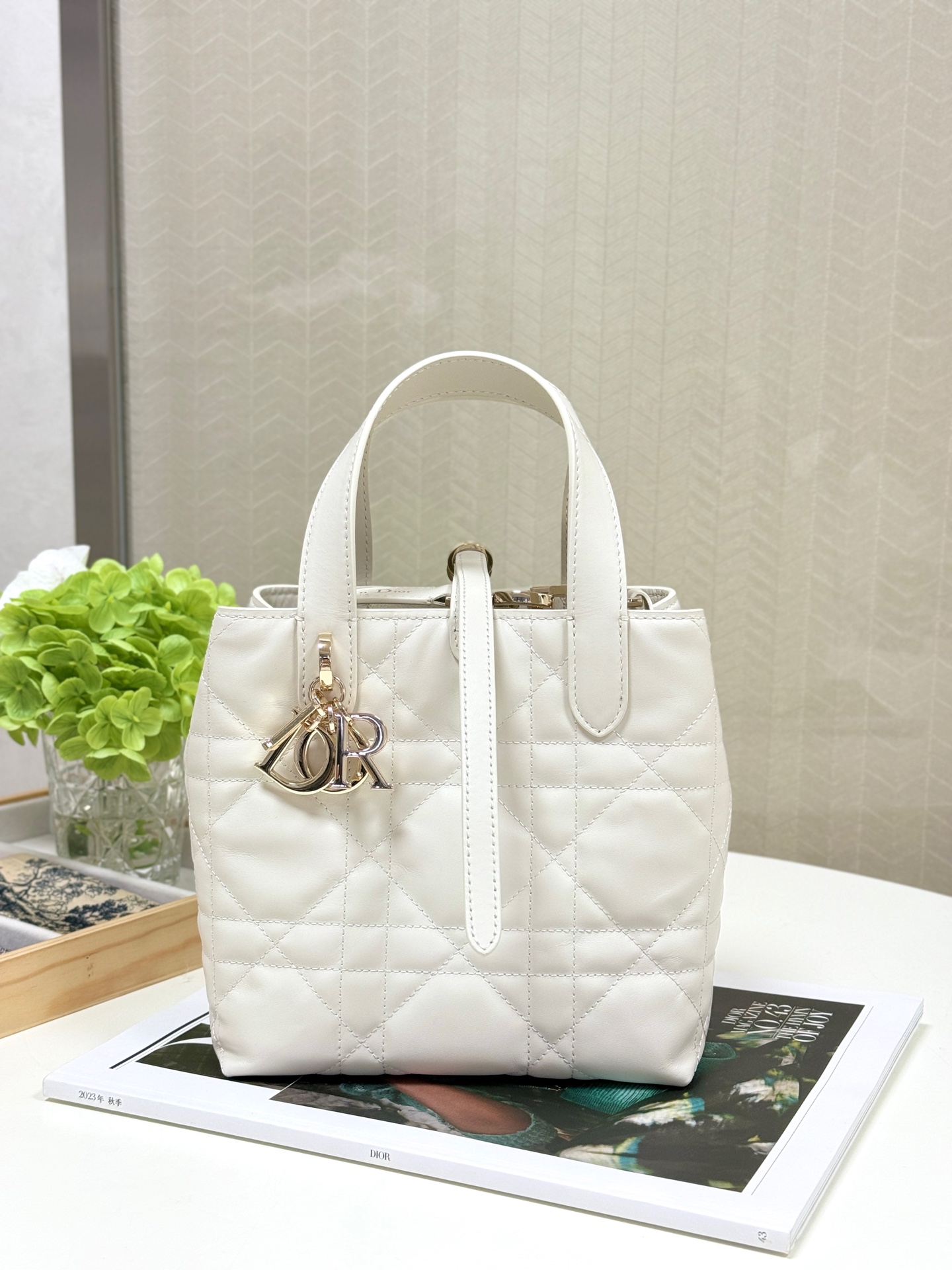 디올 가방 106337 Dior Bag