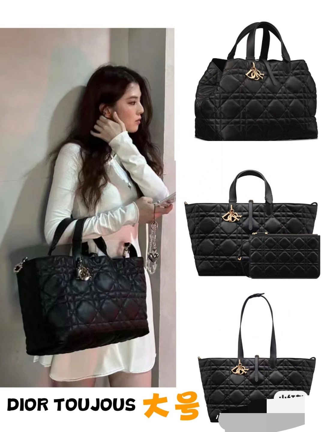 LARGE DIOR TOUJOURS COLLECTION