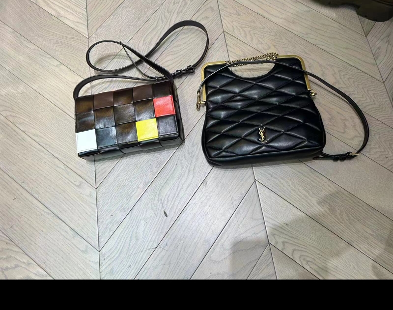 Bottega Veneta Bv Ysl rare macaron color