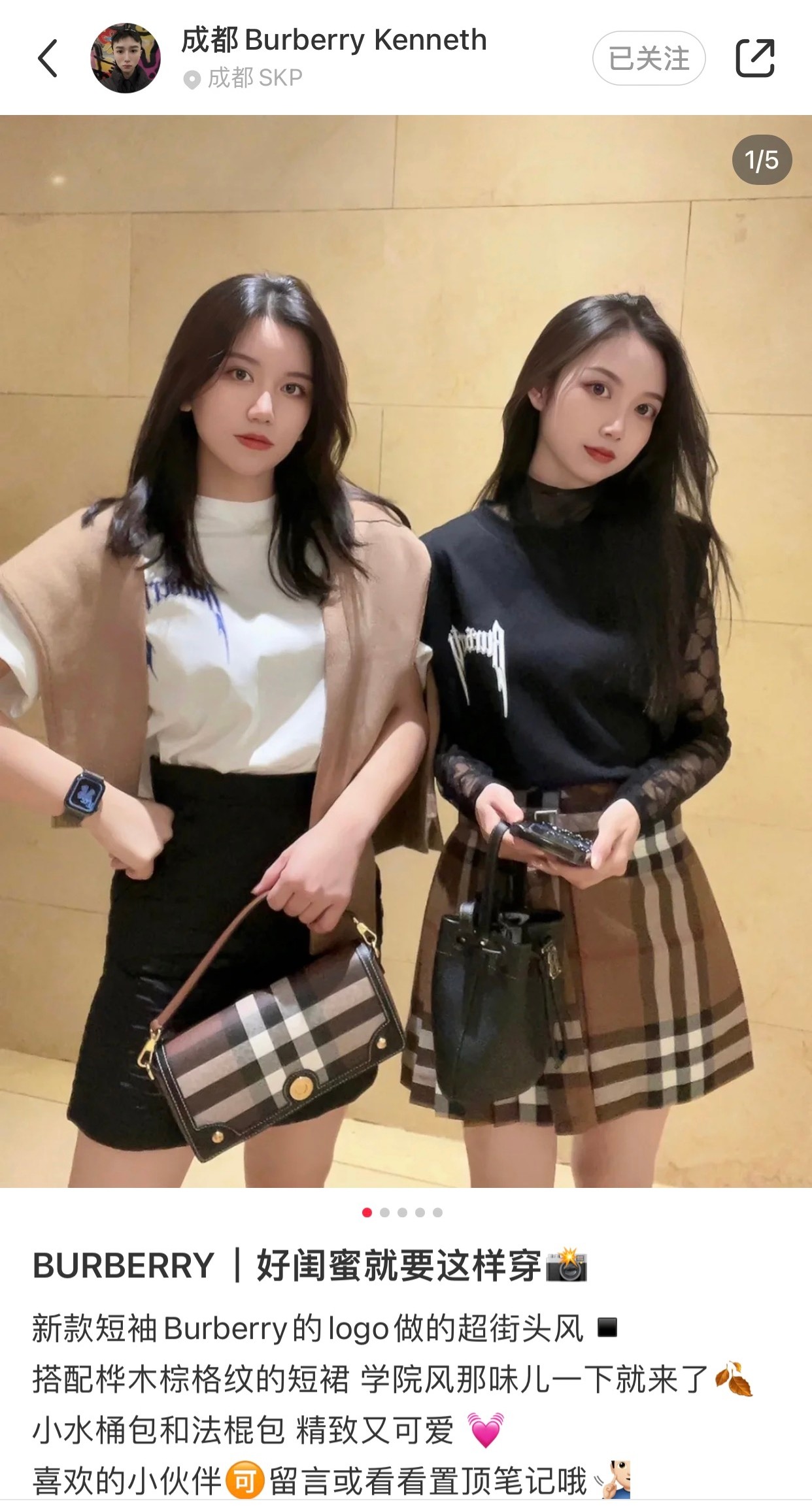 Burberry's latest French elegant baguette bag