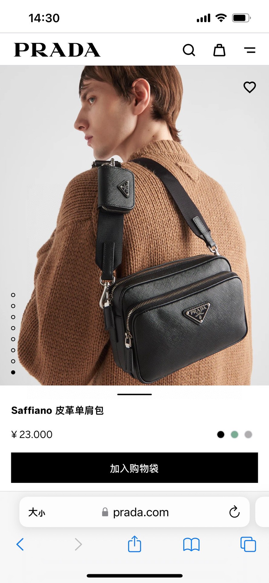 Prada Rare version shipped