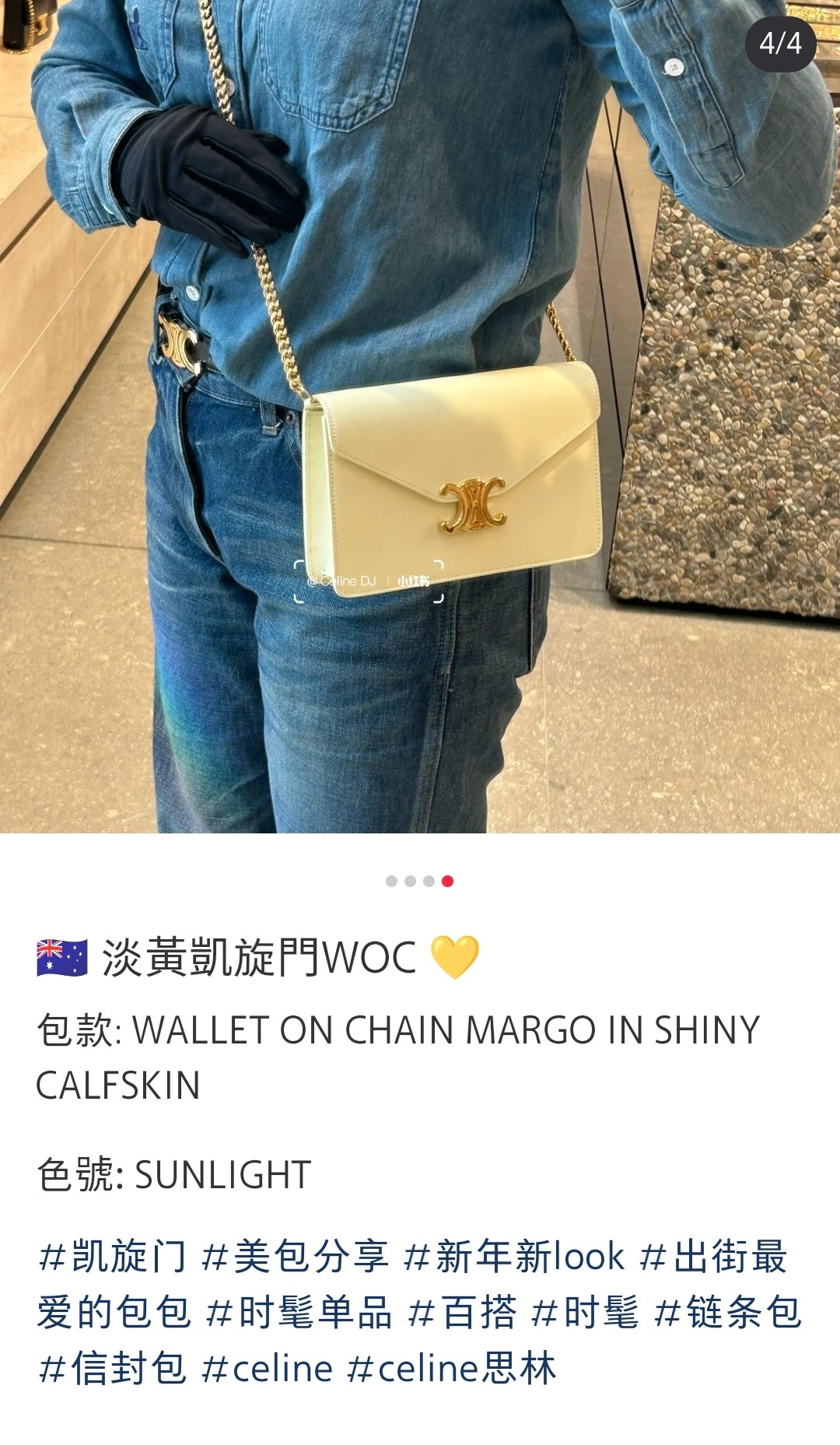 CELINE CUIR TRIOMPHE cowhide WOC