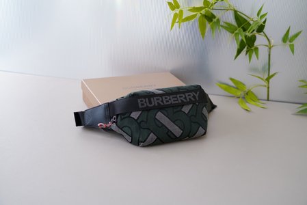 Burberry Belt Bags & Fanny Packs