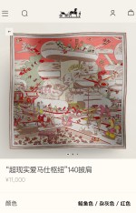 Hermes Scarf Cashmere Silk Velvet 1 Hermes Scarf Cashmere Silk Velvet