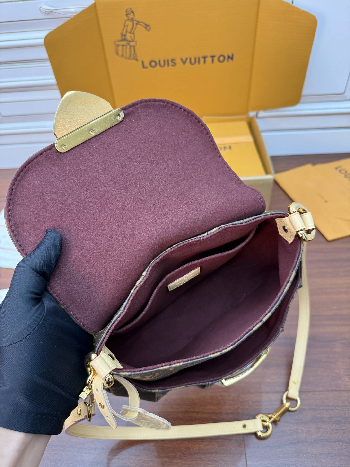 Louis Vuitton Monogram Canvas Louise Shoulder Bag, 27x18x3cm 4 i1749696700618 7436 0 2