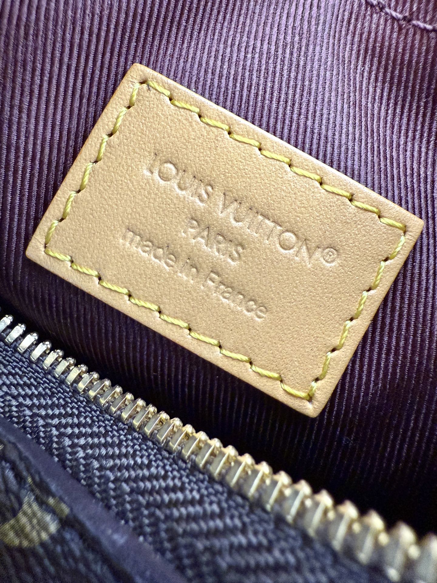 Louis Vuitton M25519 Monogram Canvas Mini Hobo Bag with Chain Accent 6 i1754539762839 1081 0 4