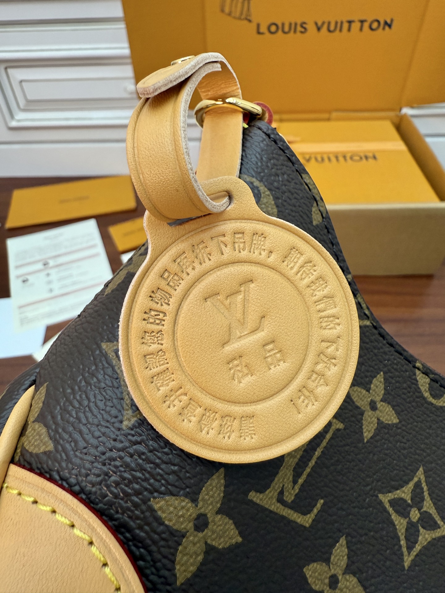 Louis Vuitton M25519 Monogram Canvas Mini Hobo Bag with Chain Accent 10 i1754539763016 1955 0 8