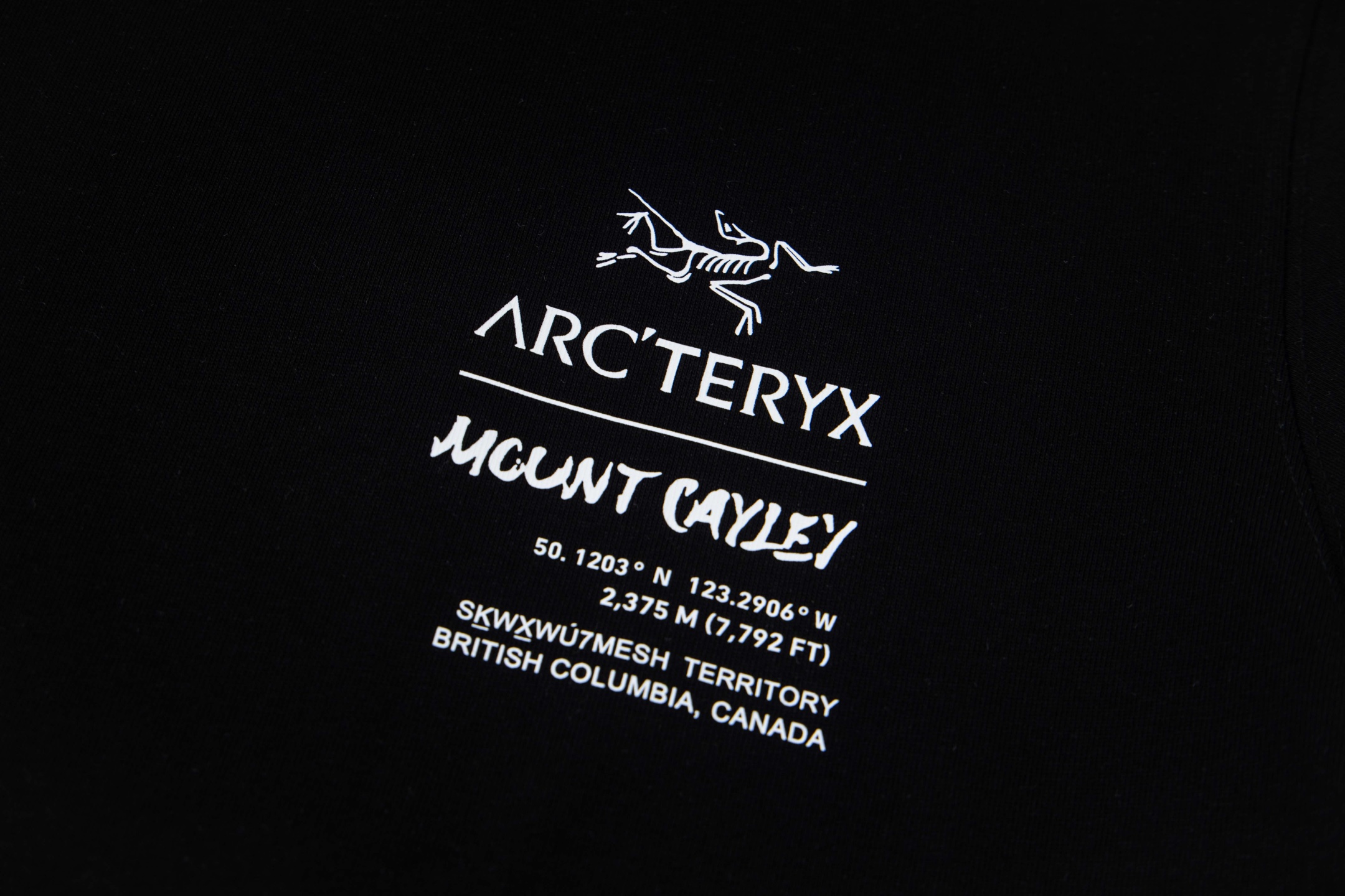 P95 ARC'TERYX 始祖鸟 25款高版本长袖 面料采用300克高密度纯棉 不变形 不缩水 三标齐全 男女同款
工艺：数码印花
颜色：白色 黑色
SIZE：XS-L