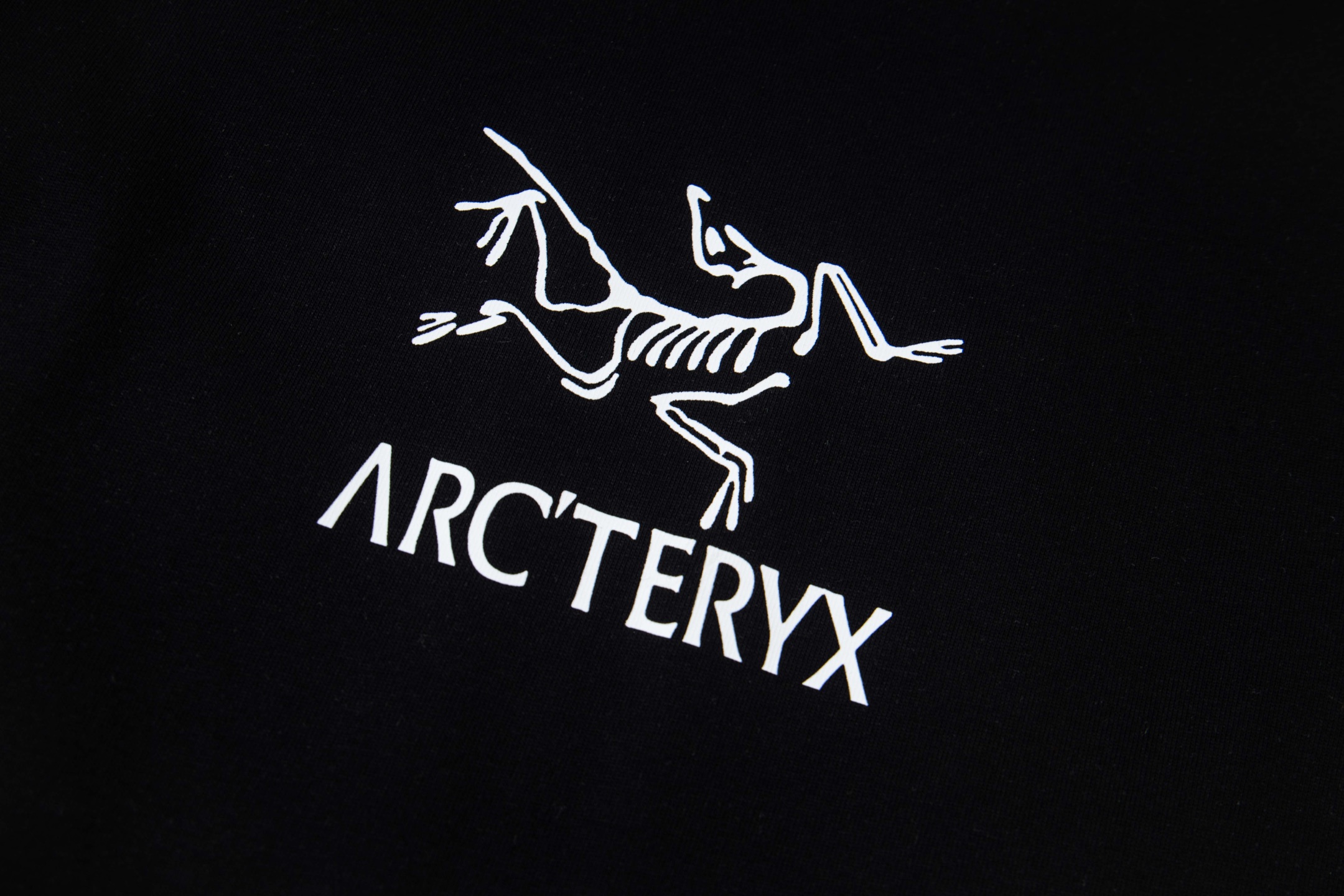 P95 ARC'TERYX 始祖鸟 25款高版本长袖 面料采用300克高密度纯棉 不变形 不缩水 三标齐全 男女同款
工艺：数码印花
颜色：白色 黑色
SIZE：XS-L