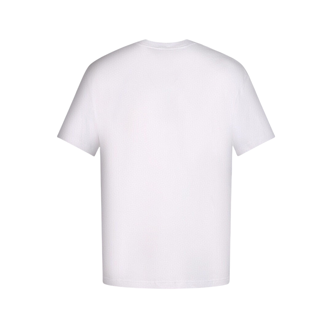 Dior/迪奥 25ss 渐变字母压胶及刺绣短袖T恤