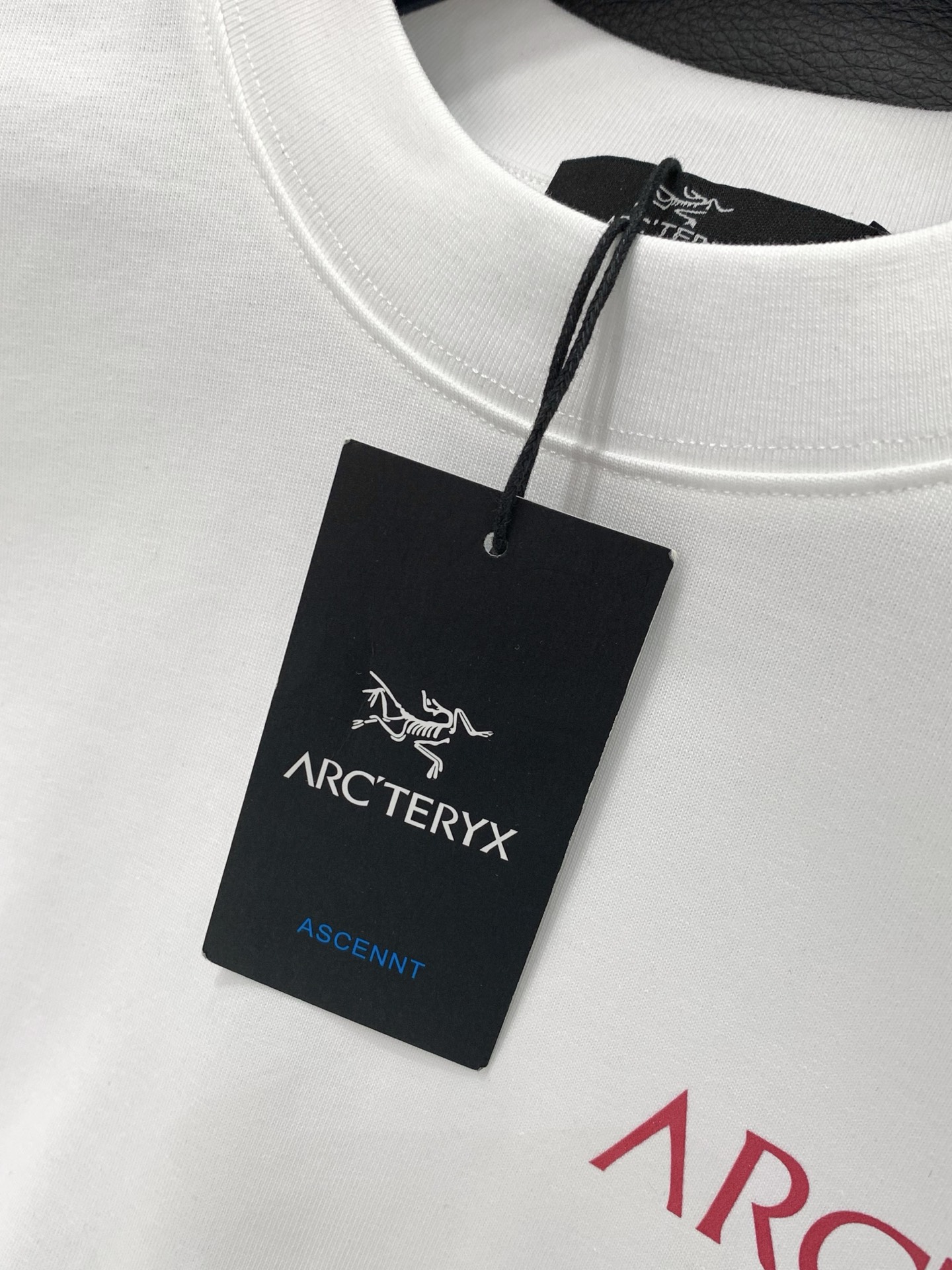 ，ARCTERYX 始祖鸟，2026春夏AW新品，时尚休闲圆领短袖T恤，专柜同步有售，原单狠货，进口原版