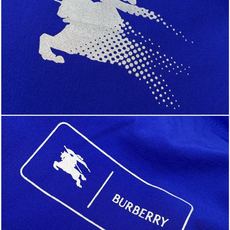 Burberry 巴宝莉,2026夏季最新品,专柜同步有售,原单狠货,时尚休闲短裤,进口原版面料,上身舒 Burberry 巴宝莉,2026夏季最新品,专柜同步有售,原单狠货,时尚休闲短裤,进口原版面料,上身舒
