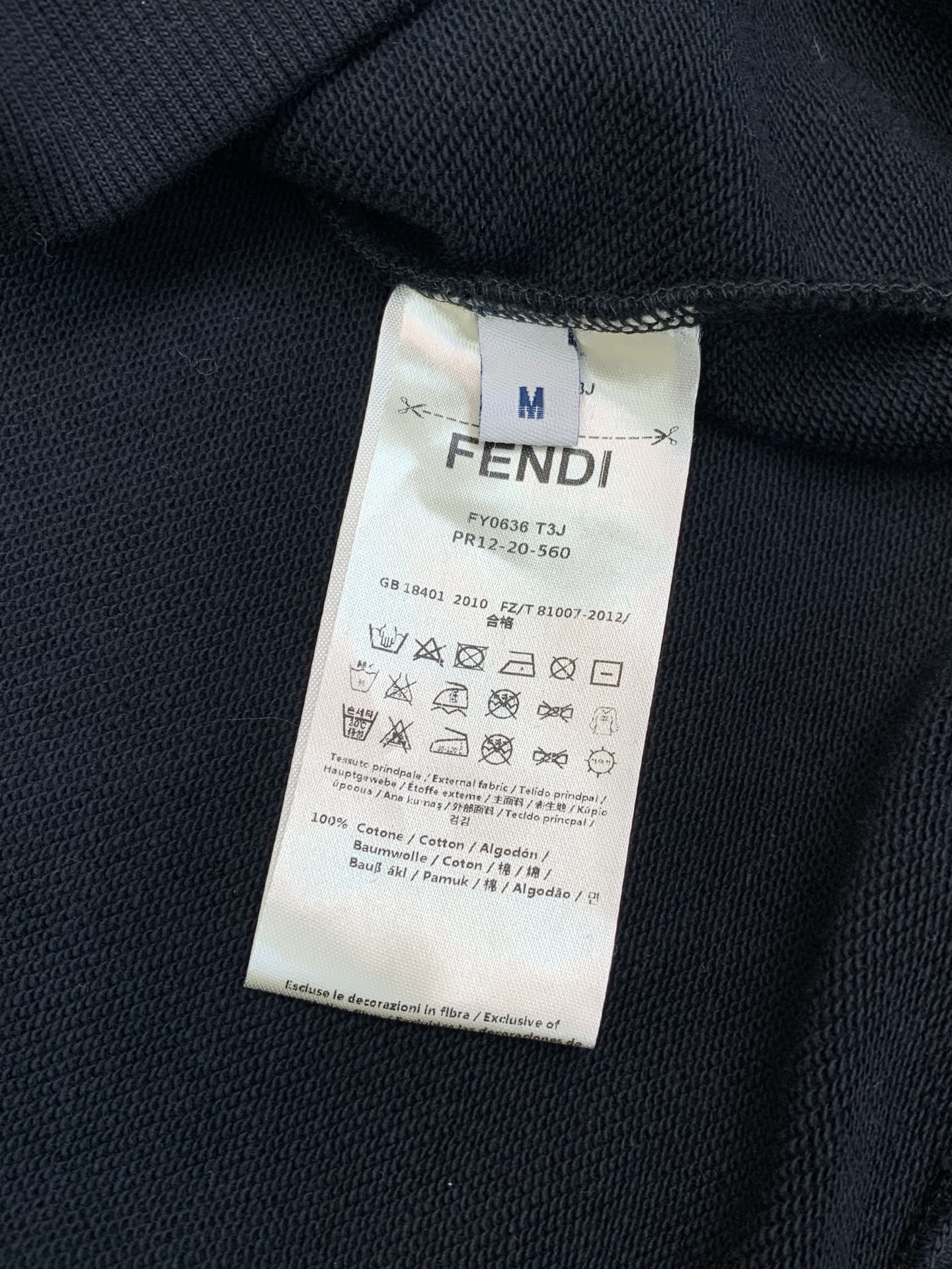 ，FENDI 芬迪，2026早秋最新品，专柜同步有售，原单狠货，时尚休闲圆领卫衣，进口原版面料，顶级印花工艺字母图案lo