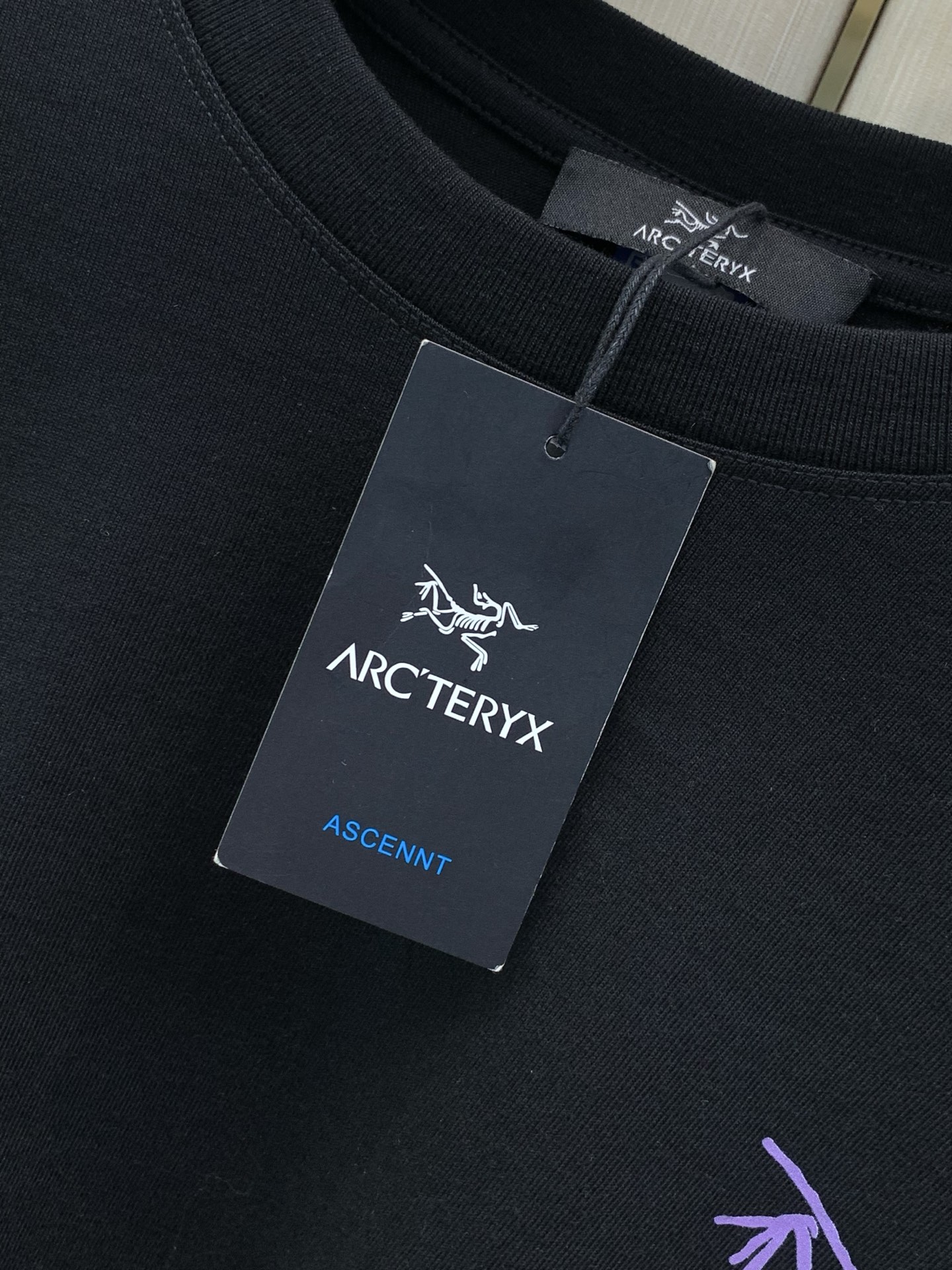，ARCTERYX 始祖鸟，2026早秋AW新品，时尚休闲圆领长袖T恤，专柜同步有售，原单狠货，进口原版面料，工艺极度复
