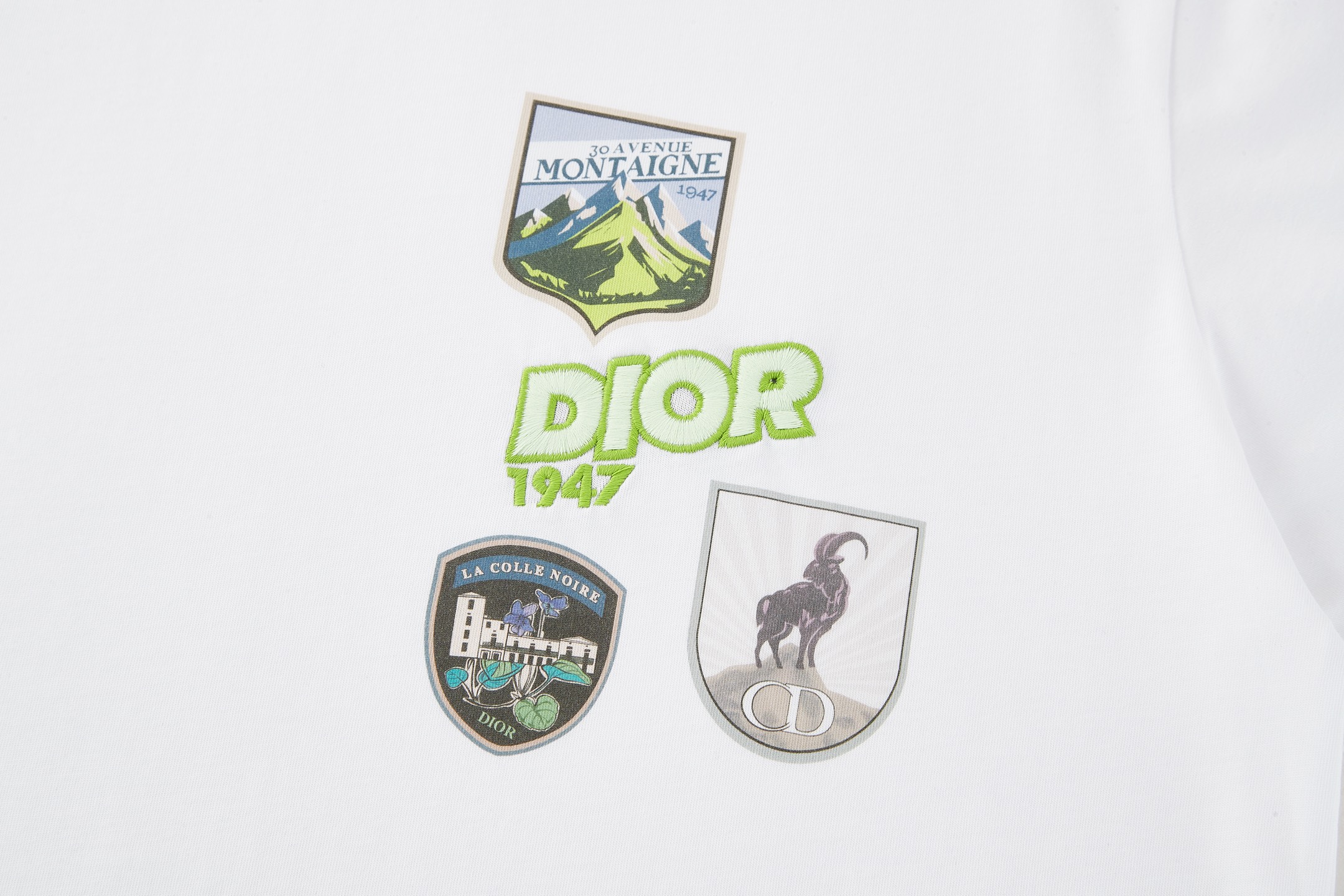 Dior DIOR迪奥印花刺绣标识短袖T恤