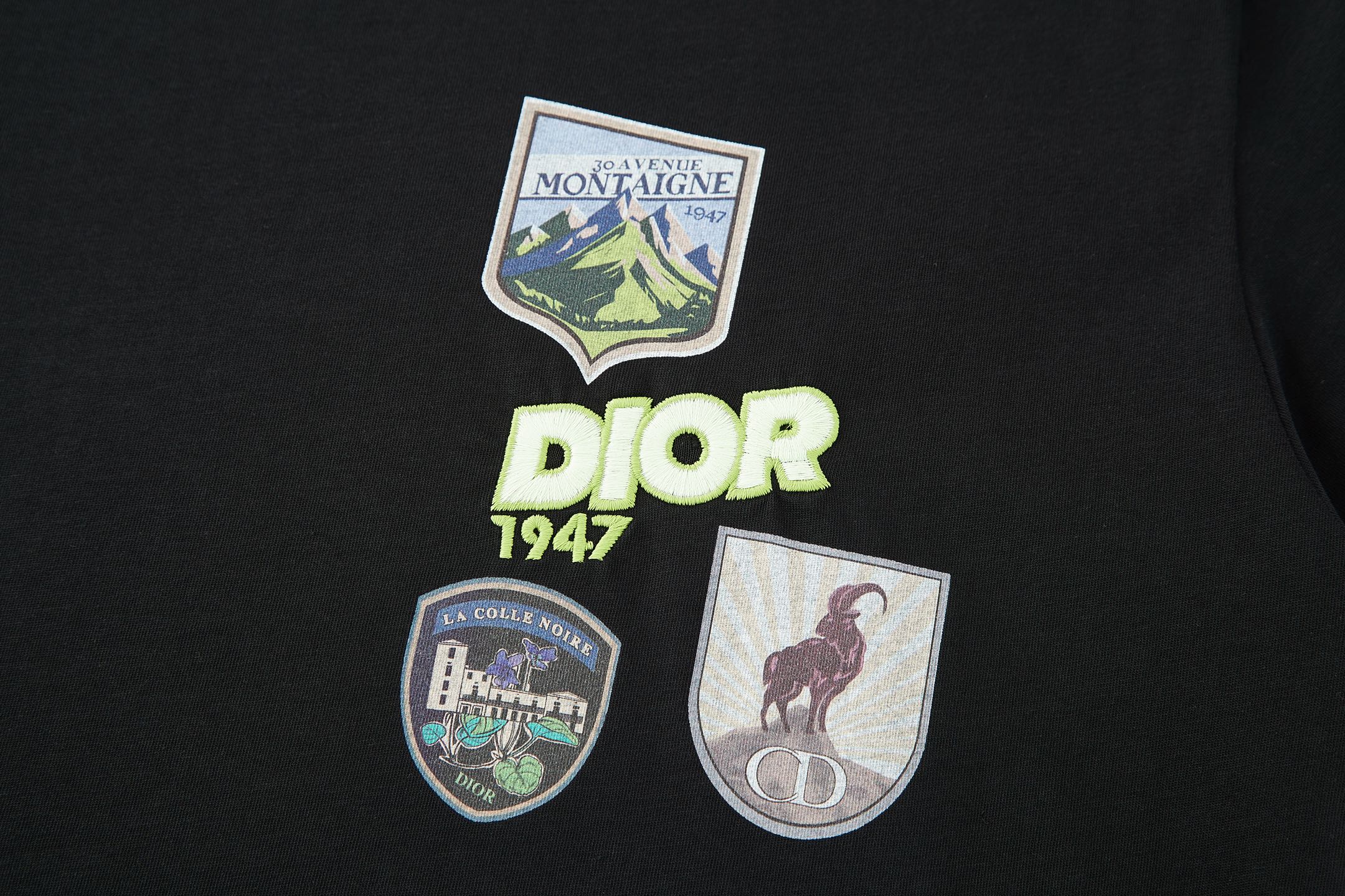 Dior DIOR迪奥印花刺绣标识短袖T恤