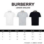 Burberry Clothing Polo Embroidery