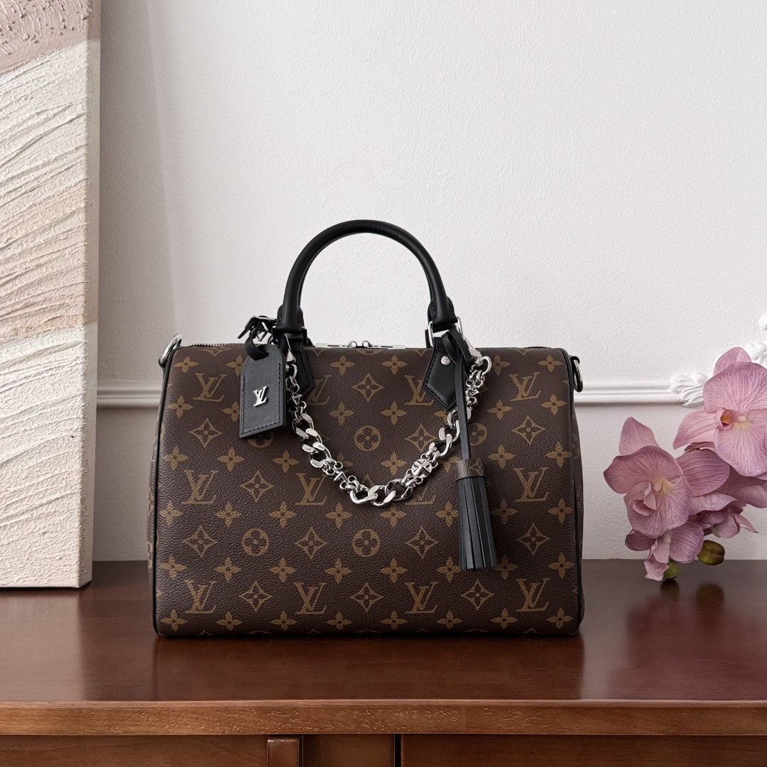 Louis Vuitton speedy 30 30