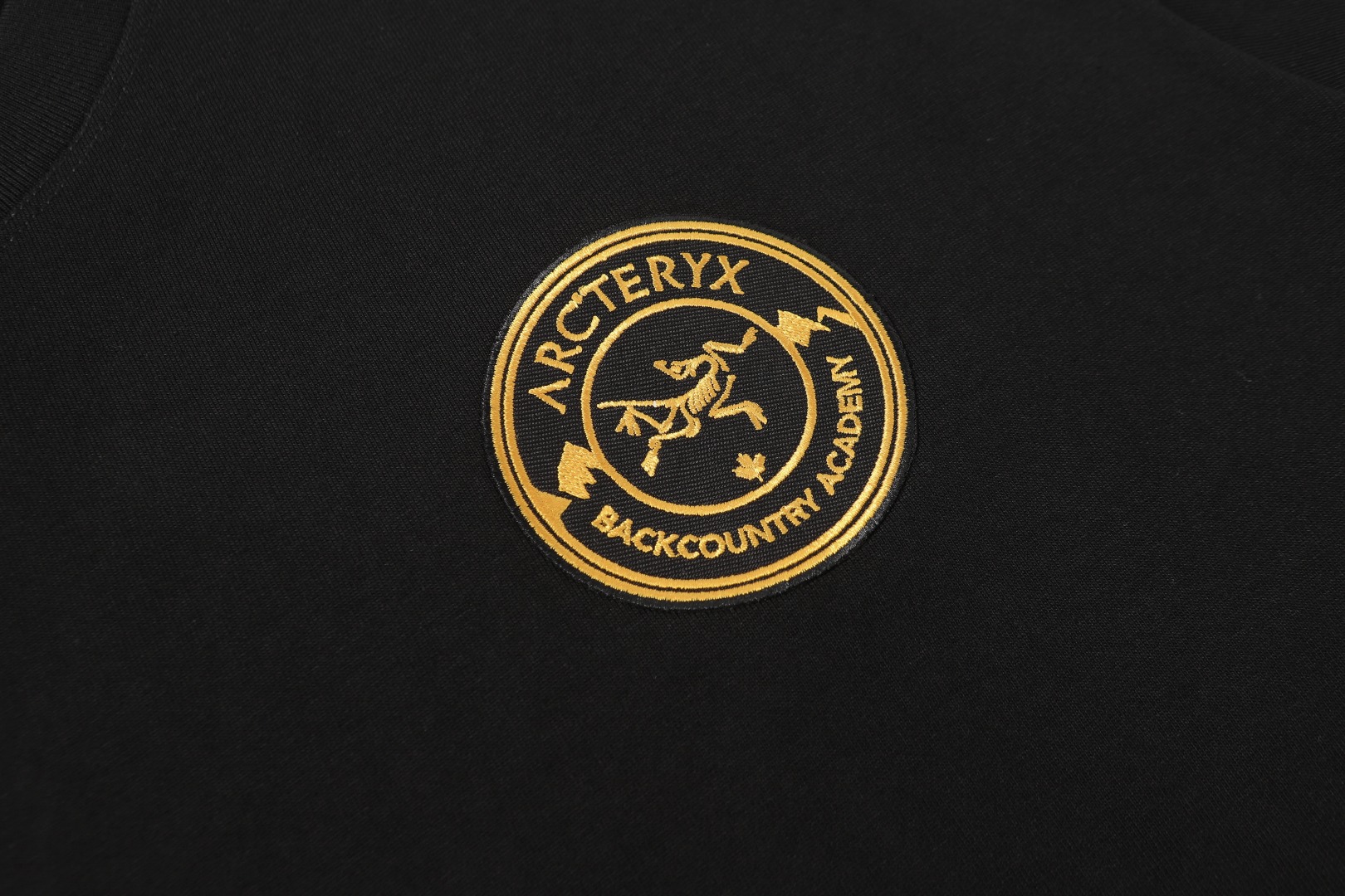 ARC'TERYX  短袖T恤服装,男,女 3