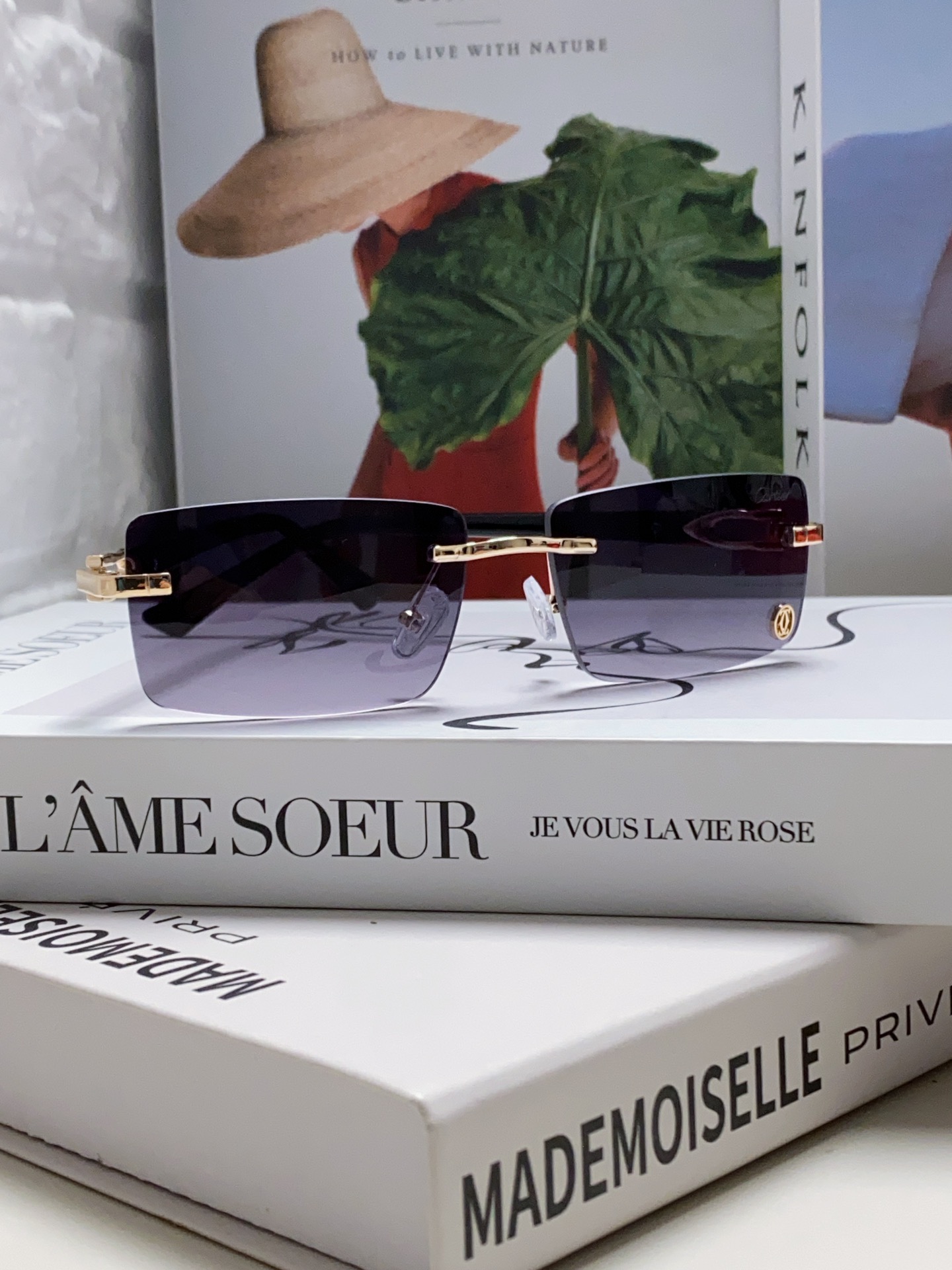[Cartier Eyewear]