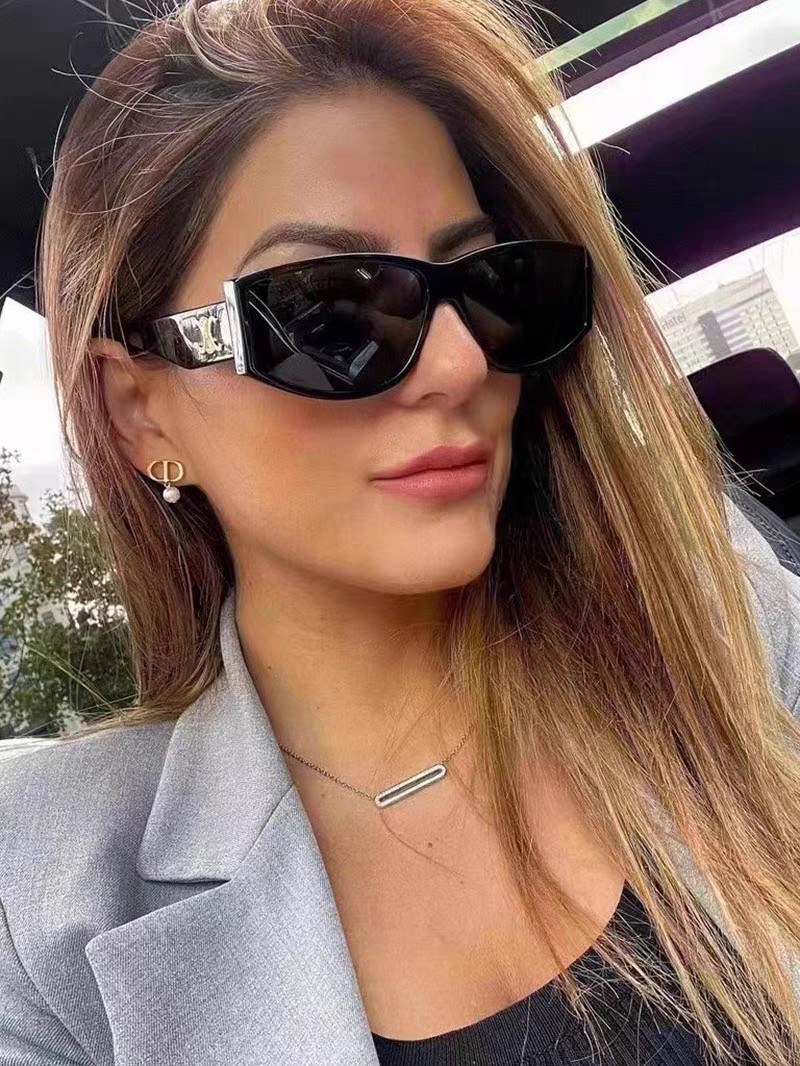  Celine赛林 2025凯旋门墨镜刘诗诗蔡文静同款大框显脸小欧美风流网红高级ins 女士墨镜