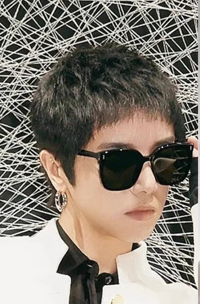   Gentle Moster(GM)  2025新款韩国V牌 女士墨镜小红书同款太阳镜男大框大脸显瘦 