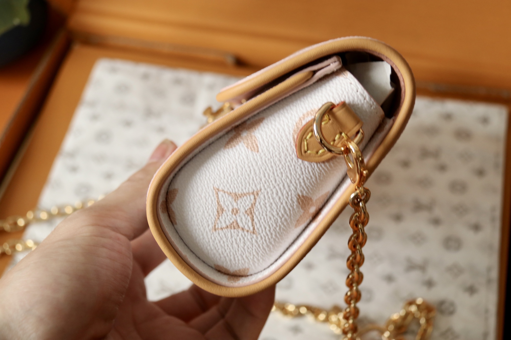 Louis Vuitton תיק צדדי דגם Pochette Camille, בד קנבס Monogram Dune 10 i1752822283180 1522 0 8